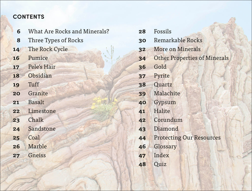 DK Super Readers Level 4 Rocks and Minerals
