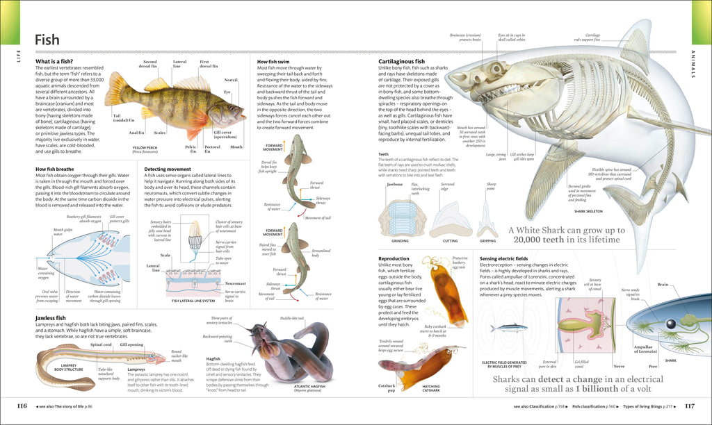 The Visual Encyclopedia
