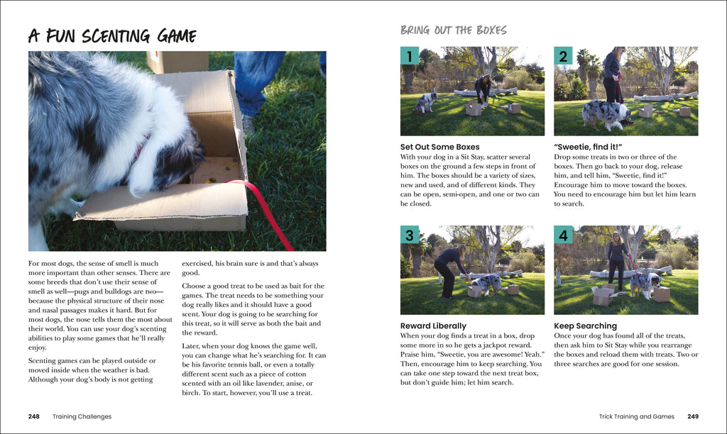 How to Train Your Dog-Spread, Image, (PRHC, Design, Do, Not, Use)-10