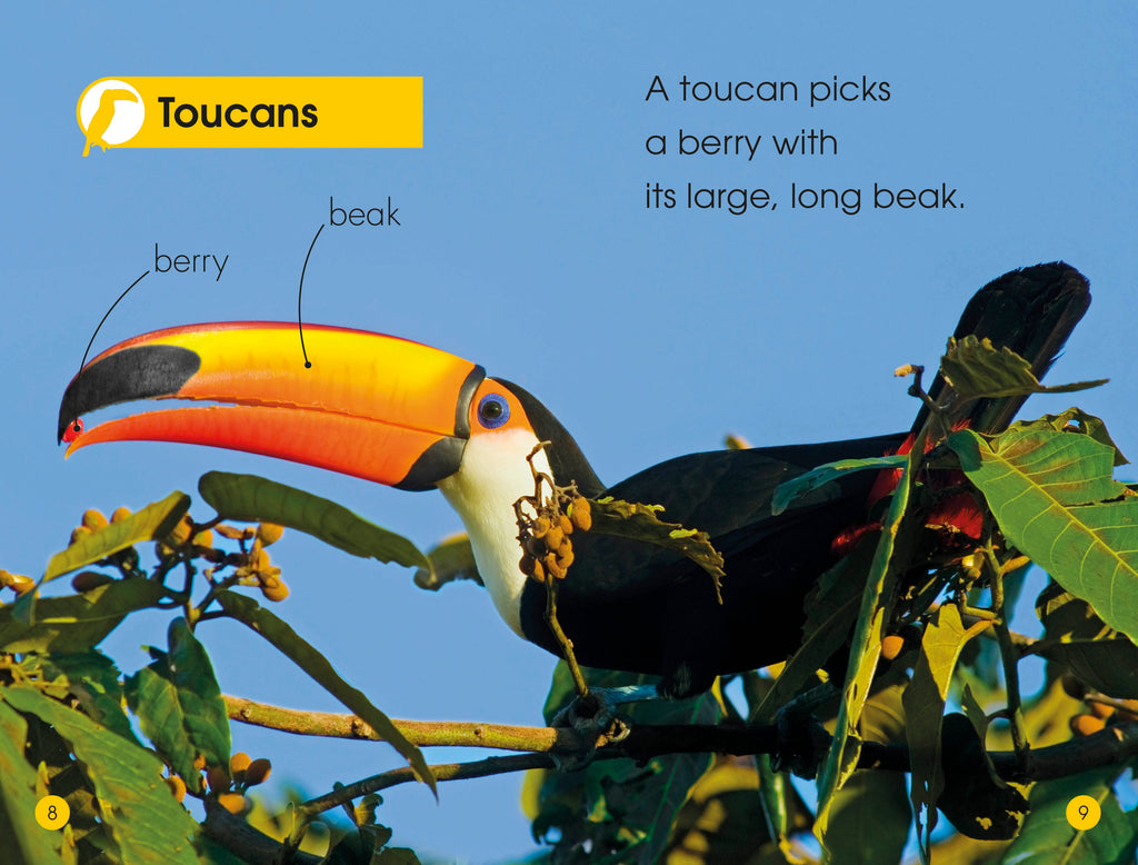 DK Readers L1: Jungle Animals