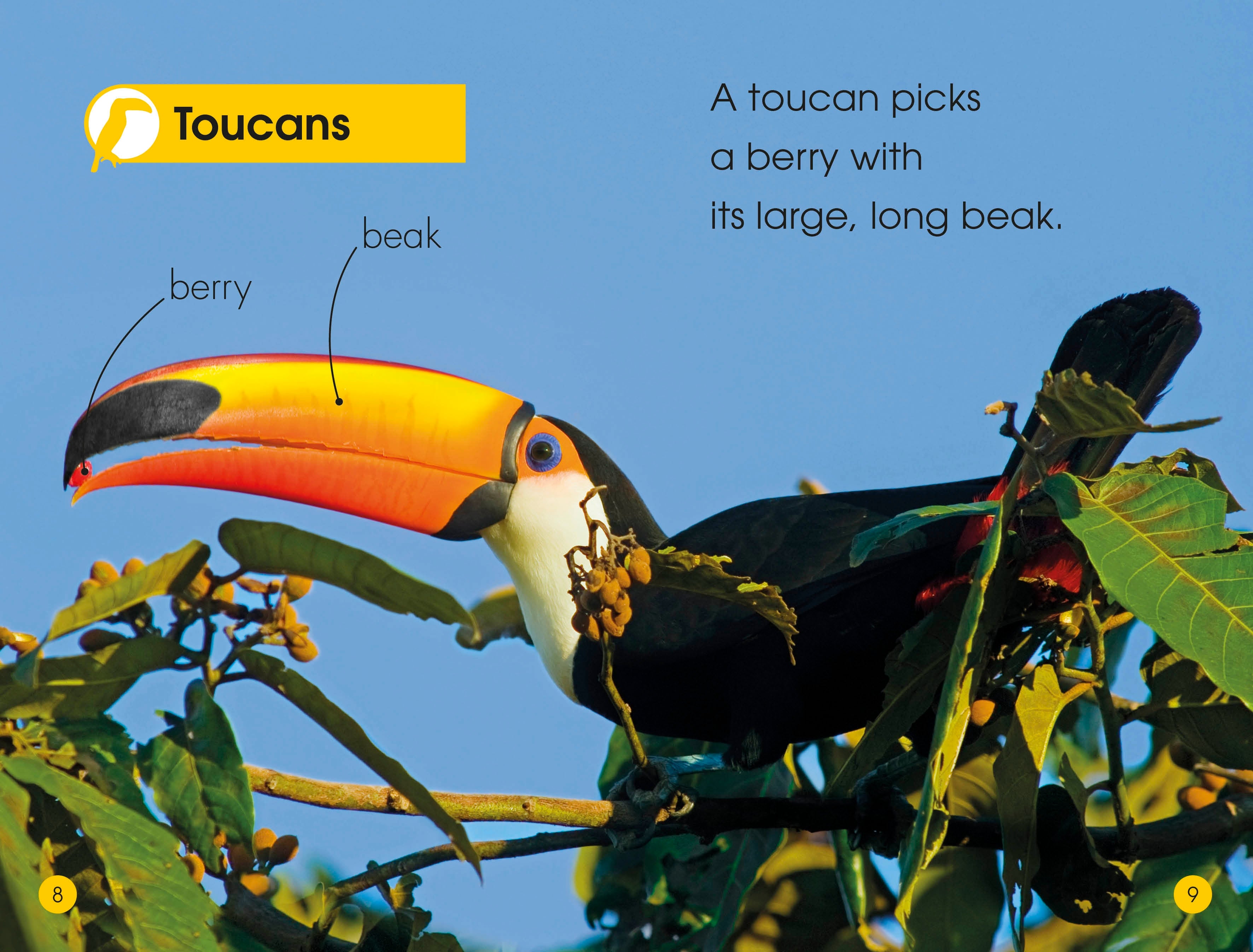 DK Readers L1: Jungle Animals