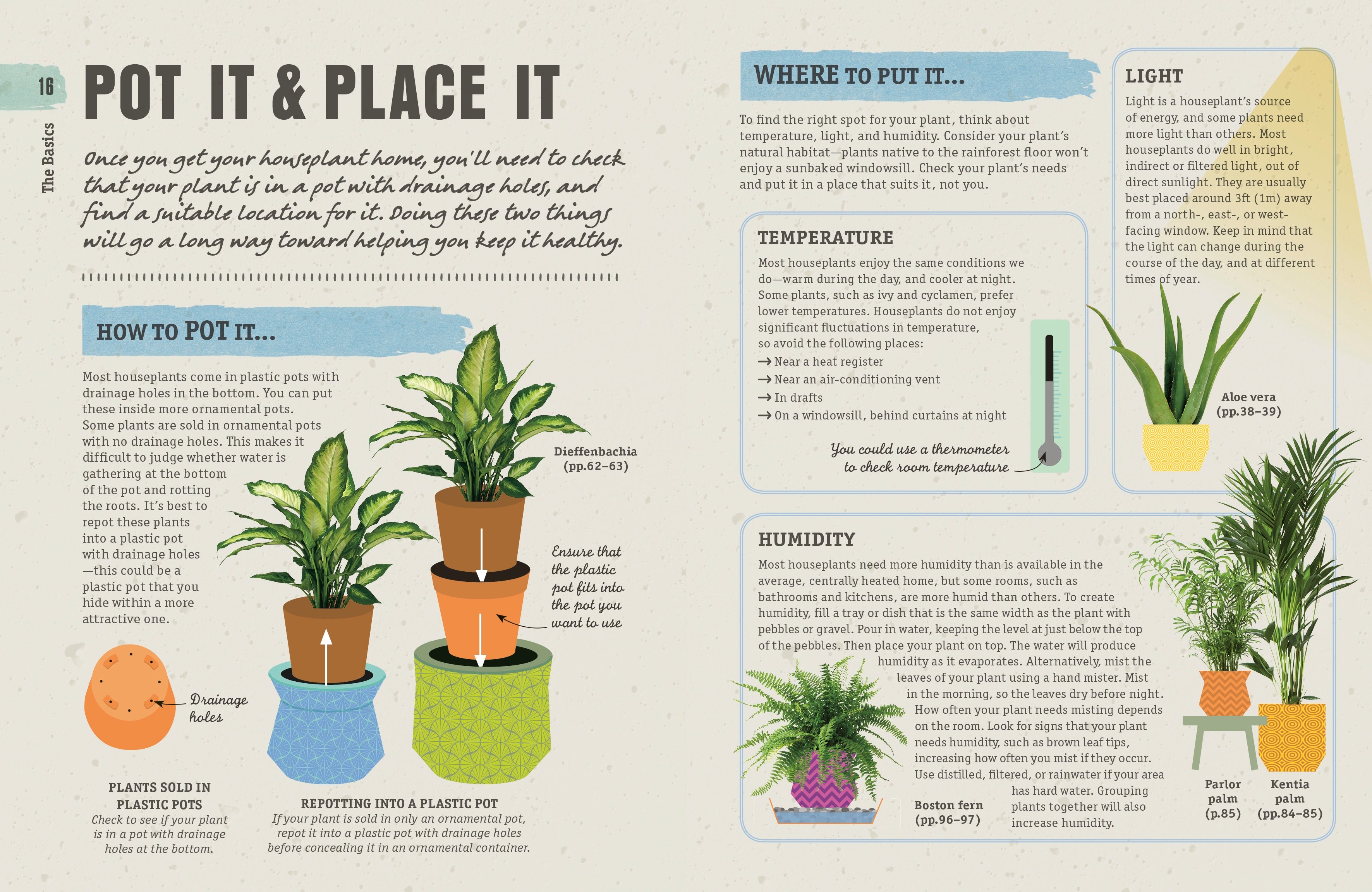 How Not to Kill Your Houseplant