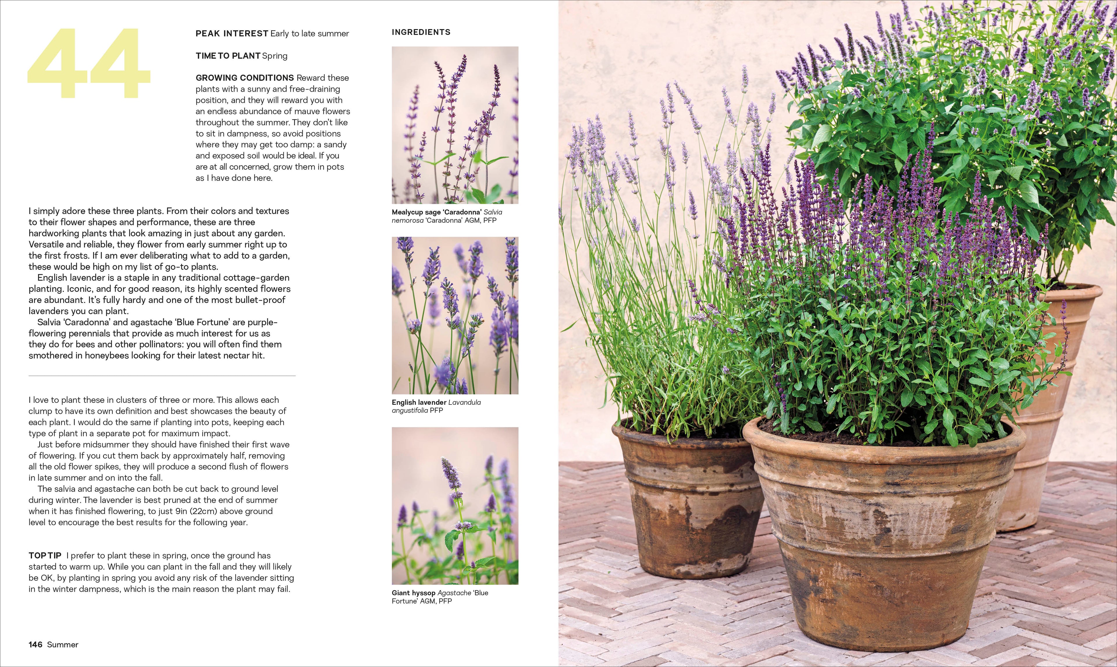 What Grows Together-Spread, Image, (PRHC, Design, Do, Not, Use)-6