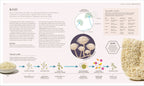 The Science of Fermentation-Spread, Image, (PRHC, Design, Do, Not, Use)-6