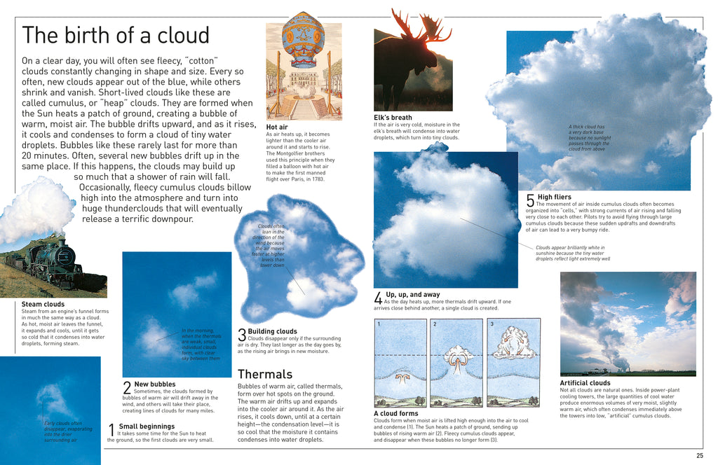 DK Eyewitness Books: Weather