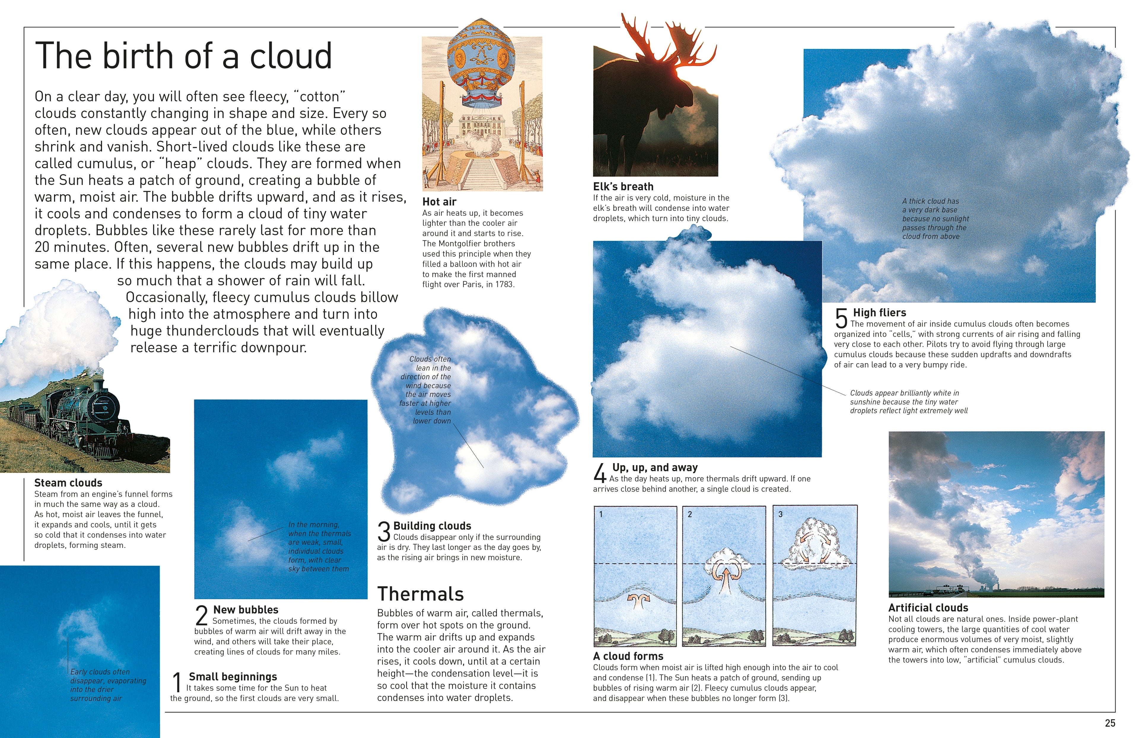 DK Eyewitness Books: Weather