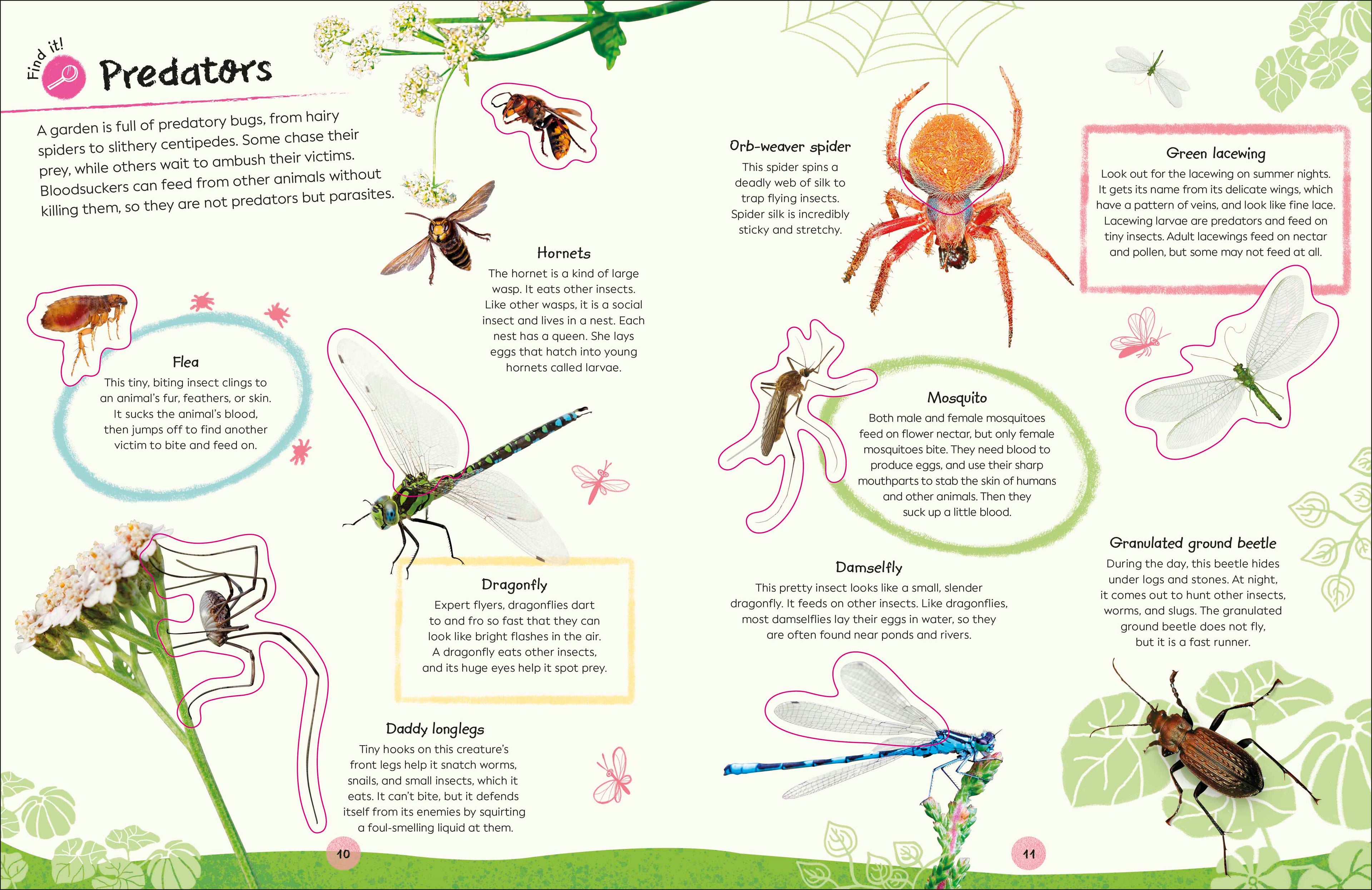 Ultimate Sticker Book Garden Bugs-Spread, Image, (PRHC, Design, Do, Not, Use)-7