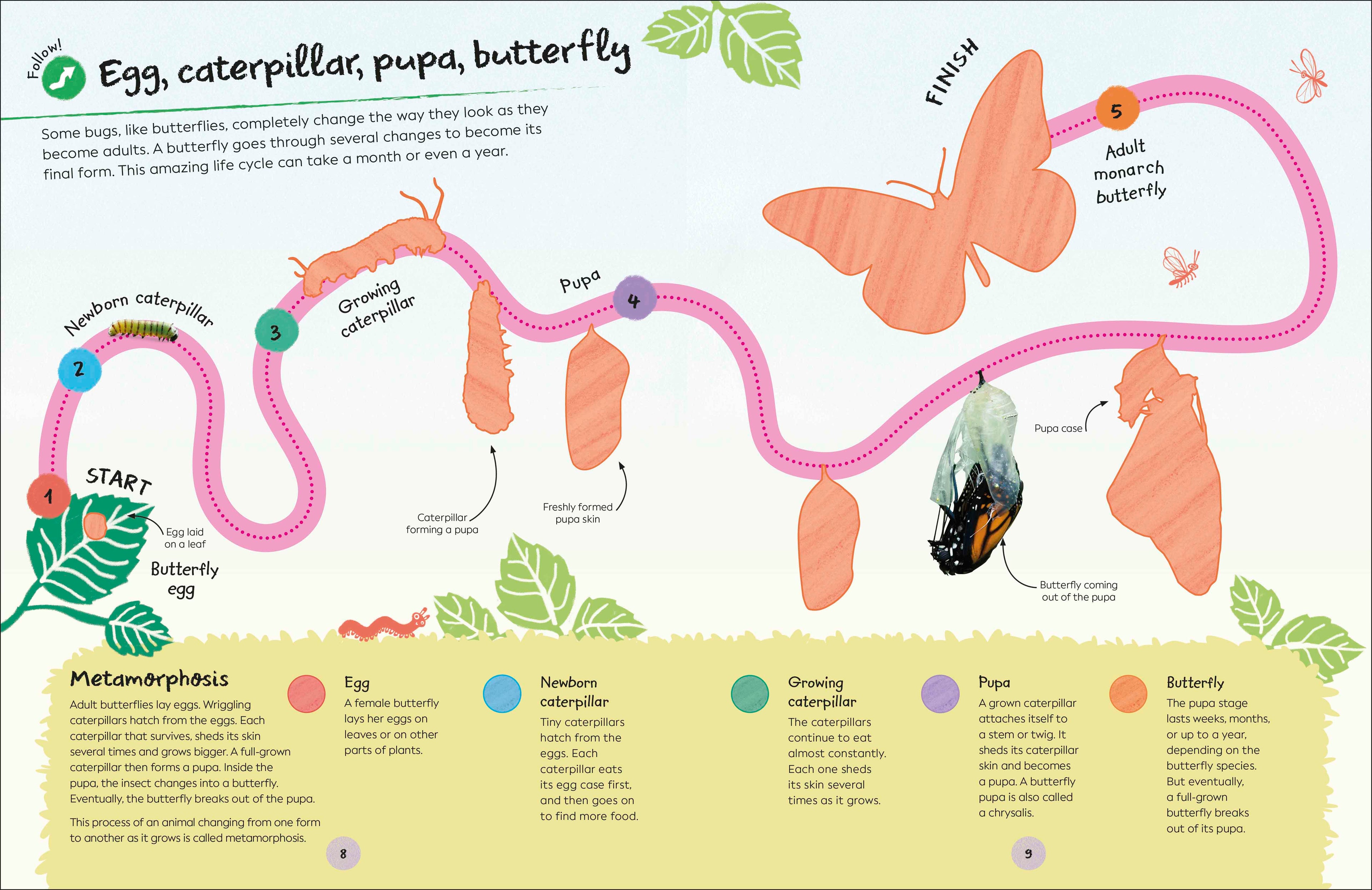 Ultimate Sticker Book Garden Bugs-Spread, Image, (PRHC, Design, Do, Not, Use)-6