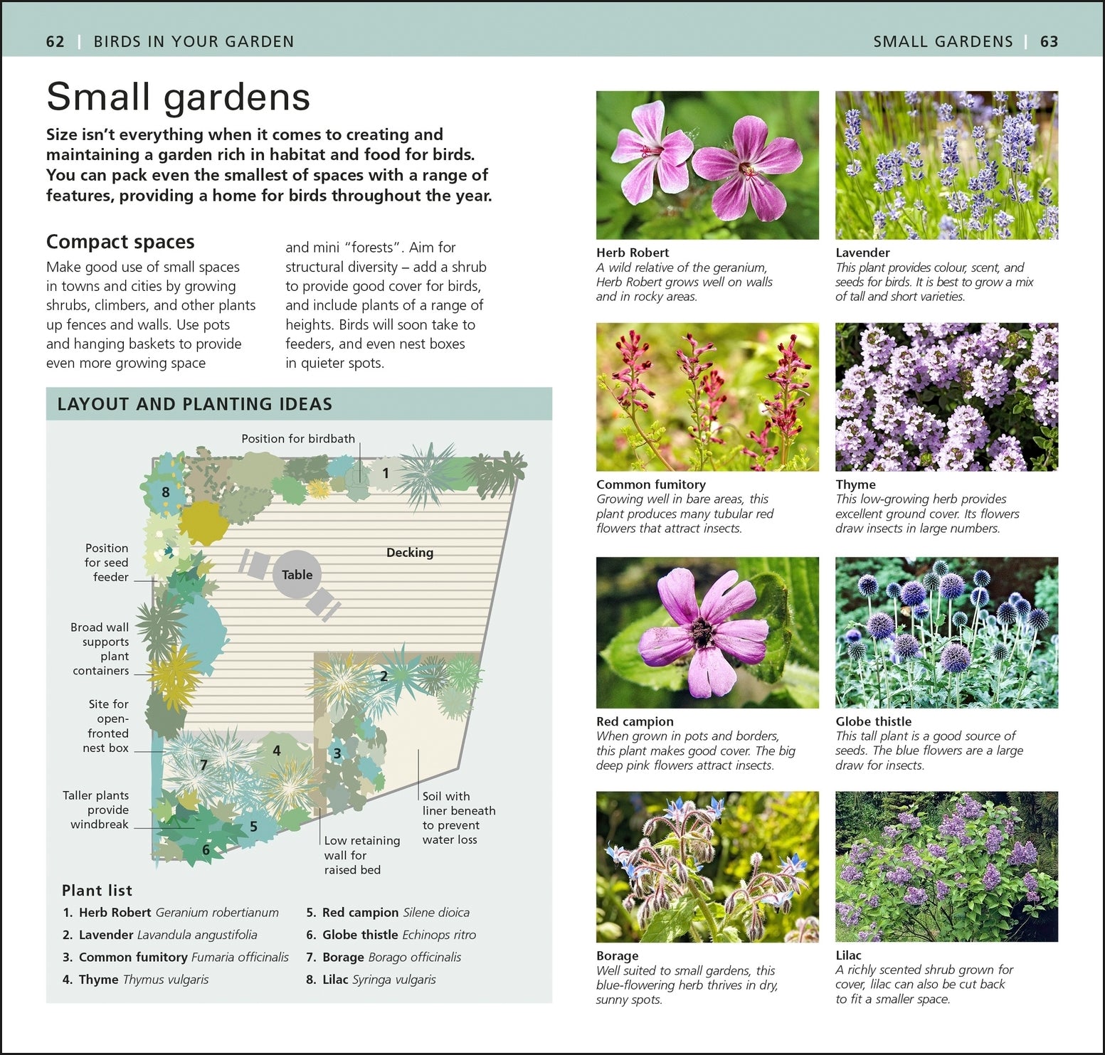 RSPB Pocket Garden Birdwatch