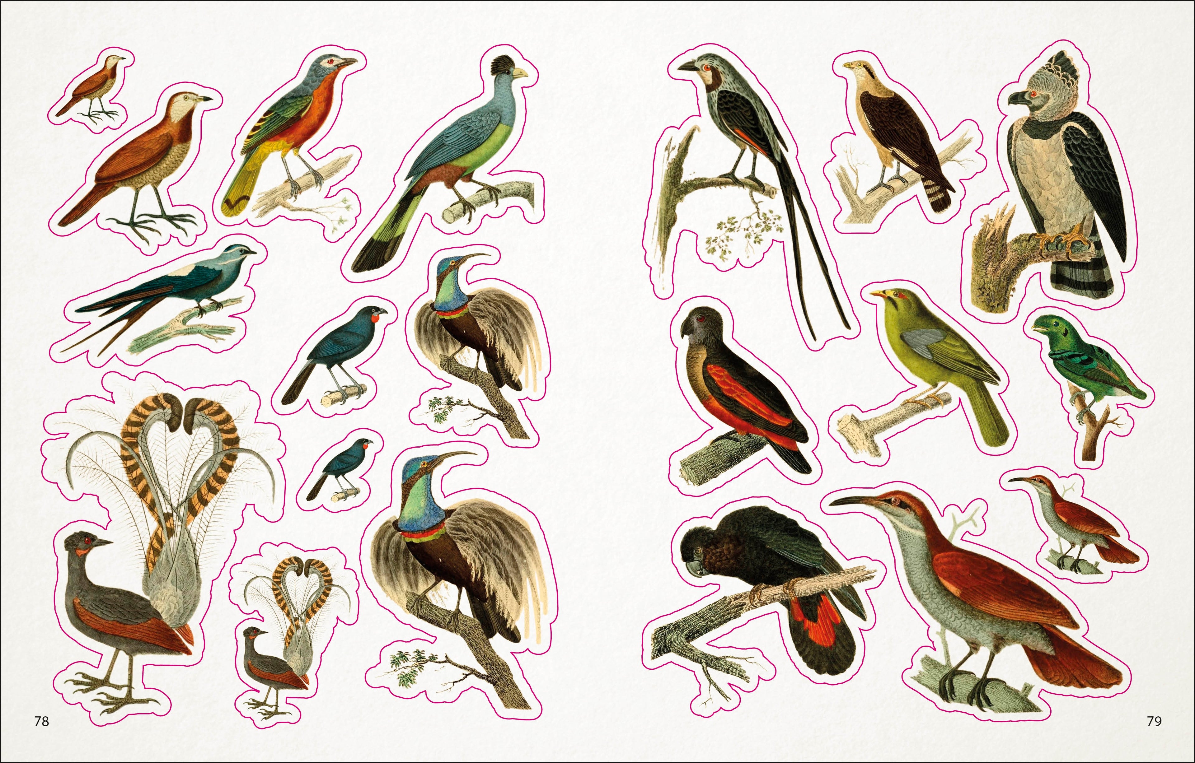 The Bees, Birds & Butterflies Sticker Anthology