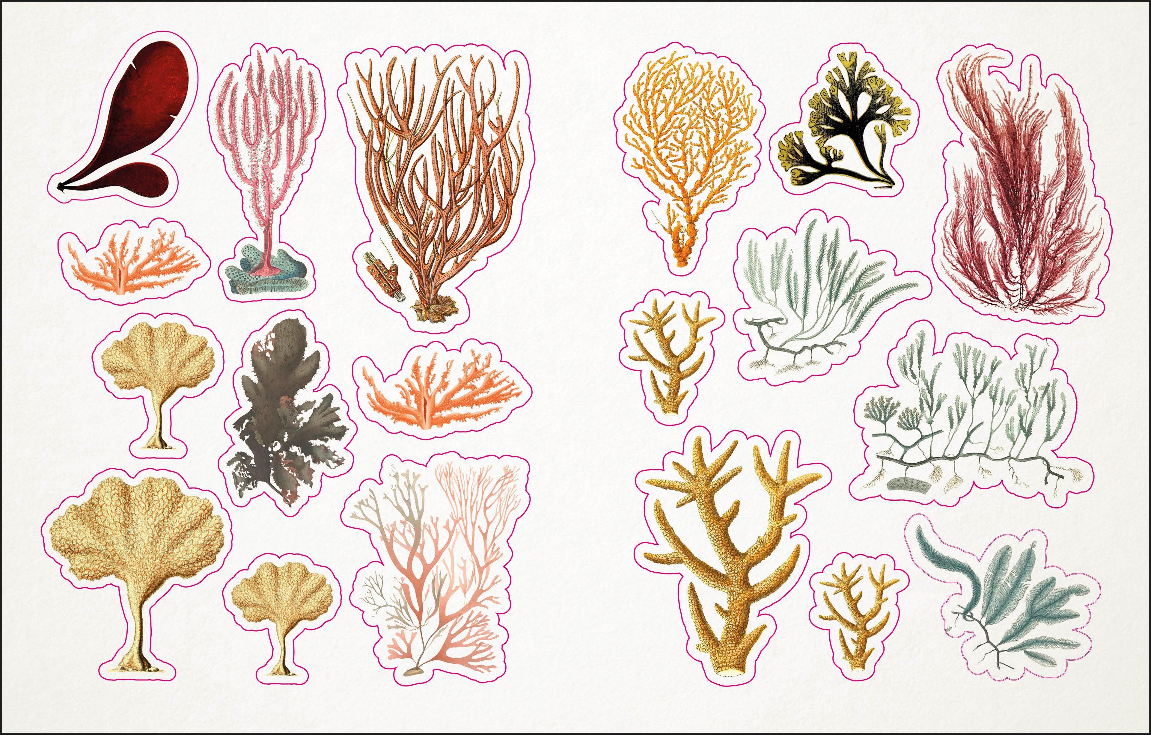 The Seashore Sticker Anthology-spread image