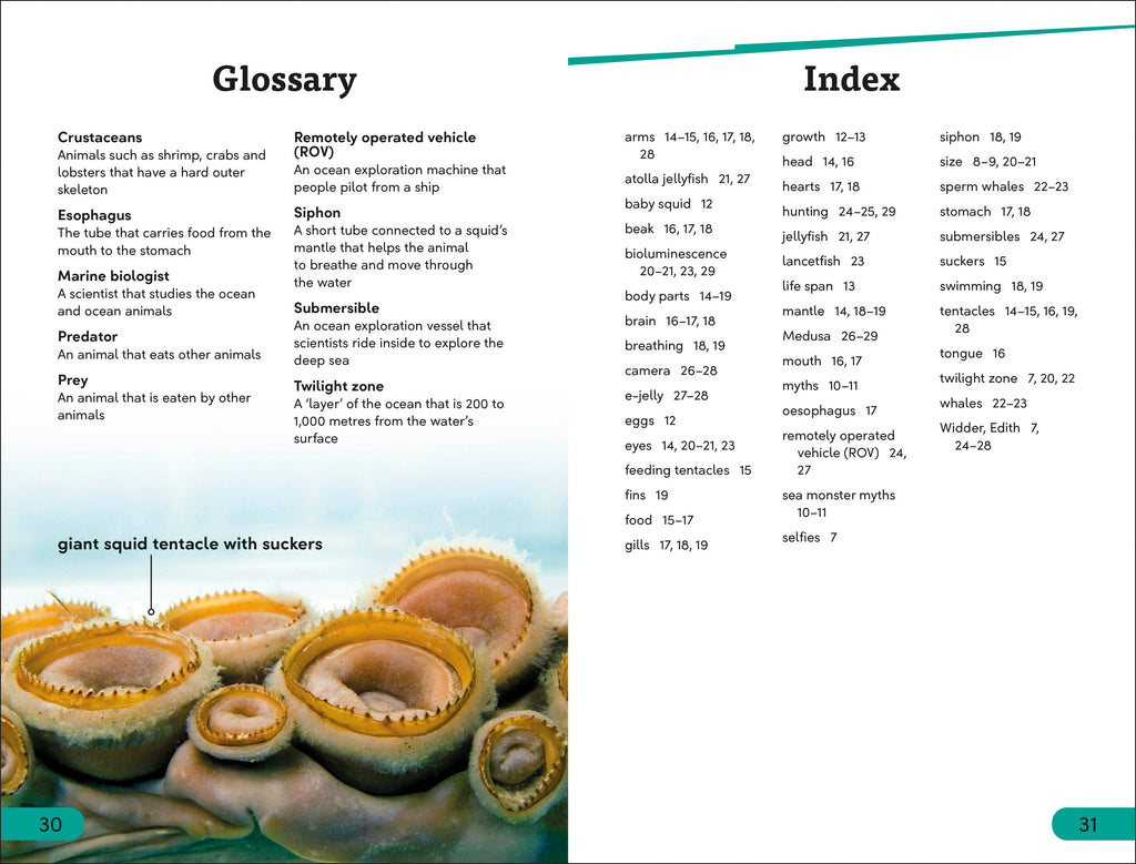 DK Super Readers Level 3 Giant Squid