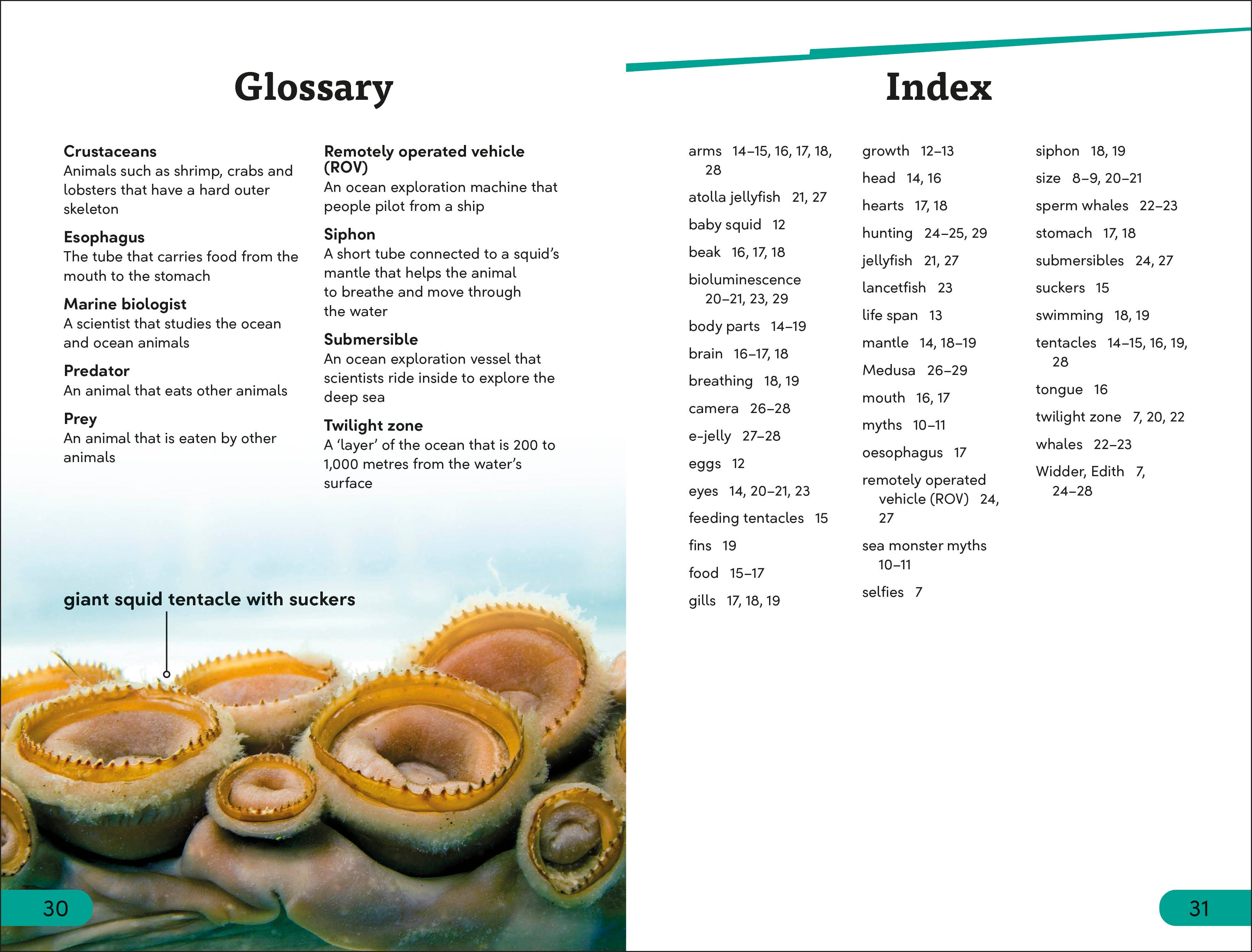 DK Super Readers Level 3 Giant Squid