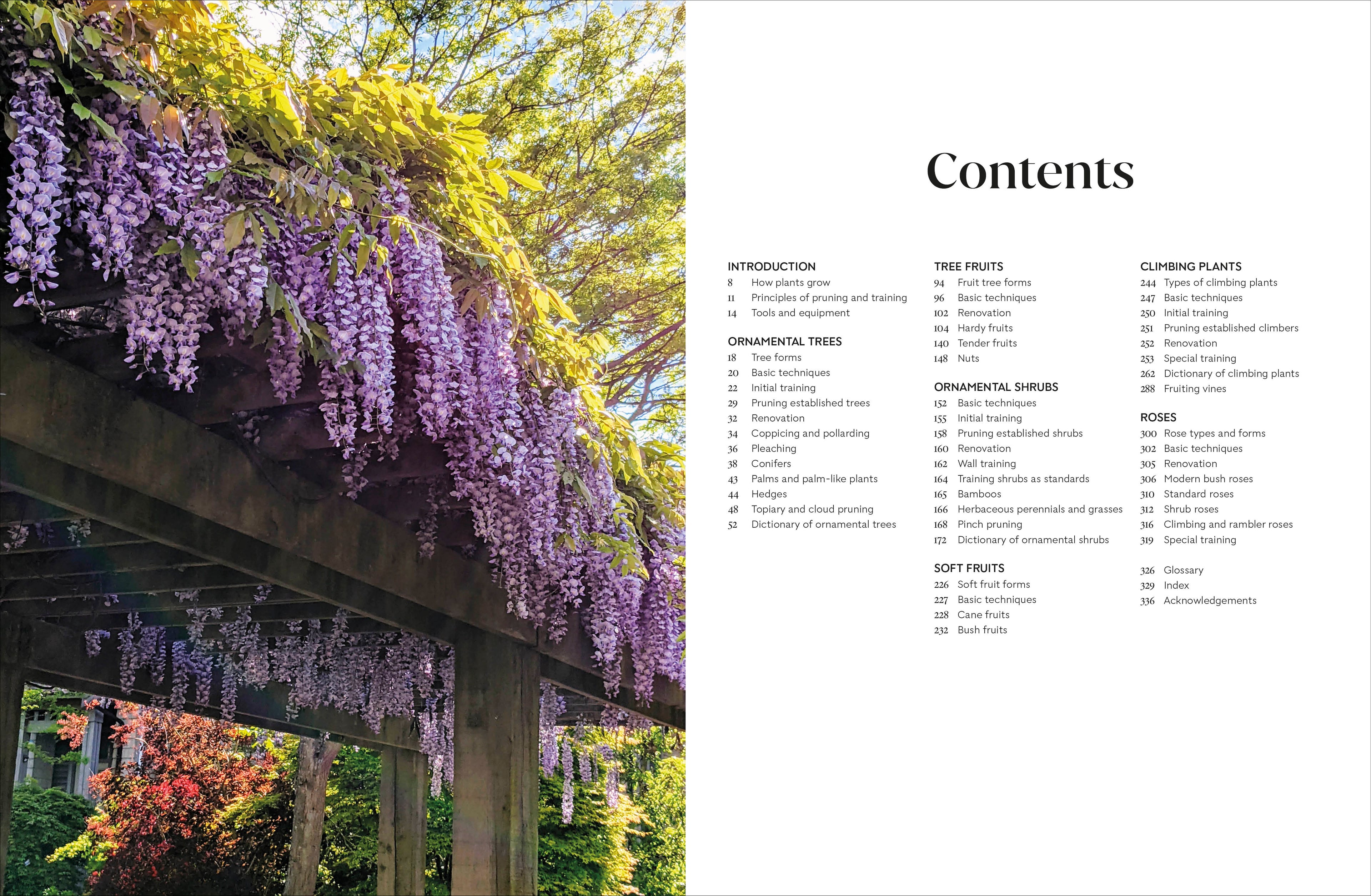 RHS Pruning and Training-Spread, Image, (PRHC, Design, Do, Not, Use)-1