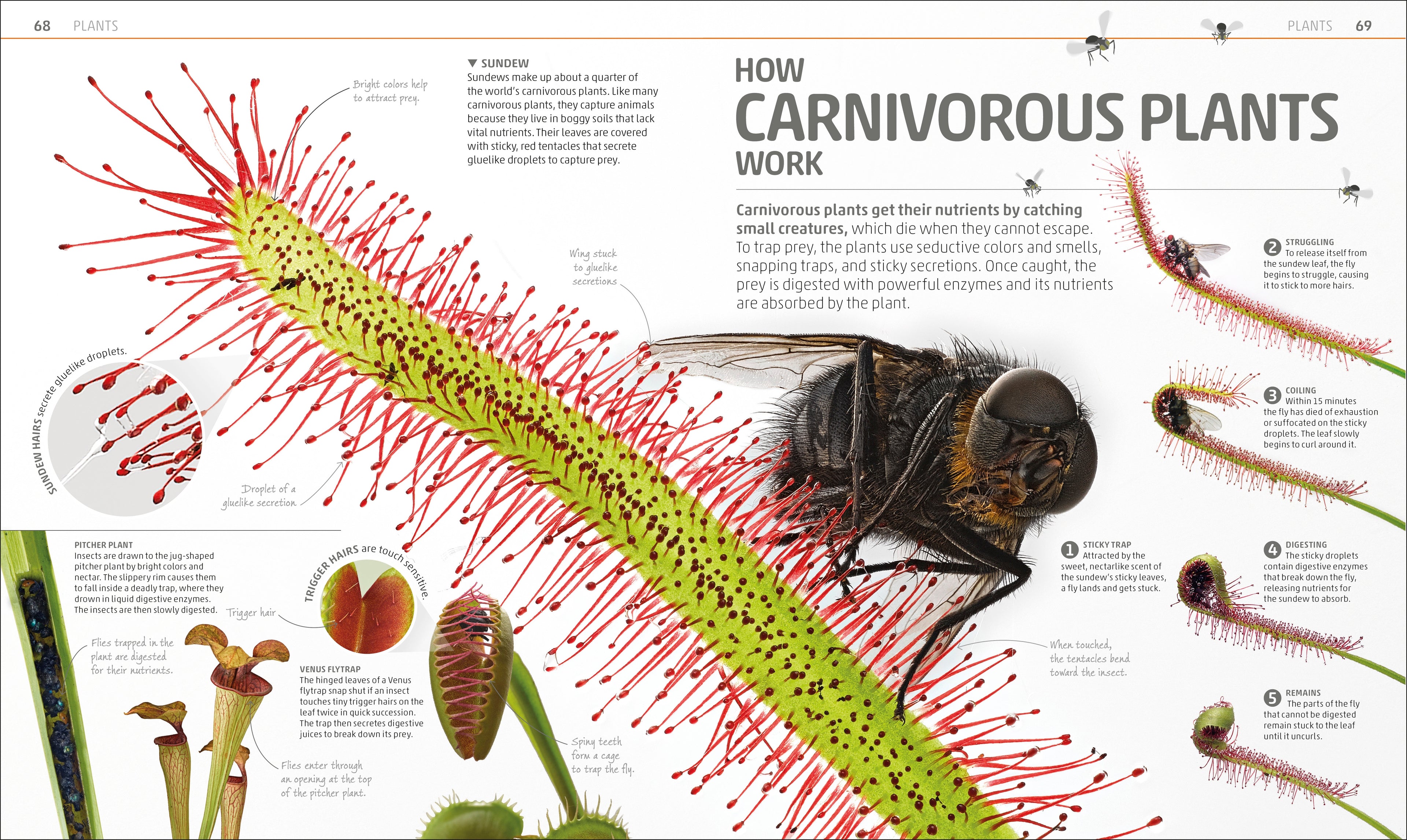 Explanatorium of Nature