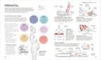 Science of Yoga-Spread, Image, (PRHC, Design, Do, Not, Use)-6