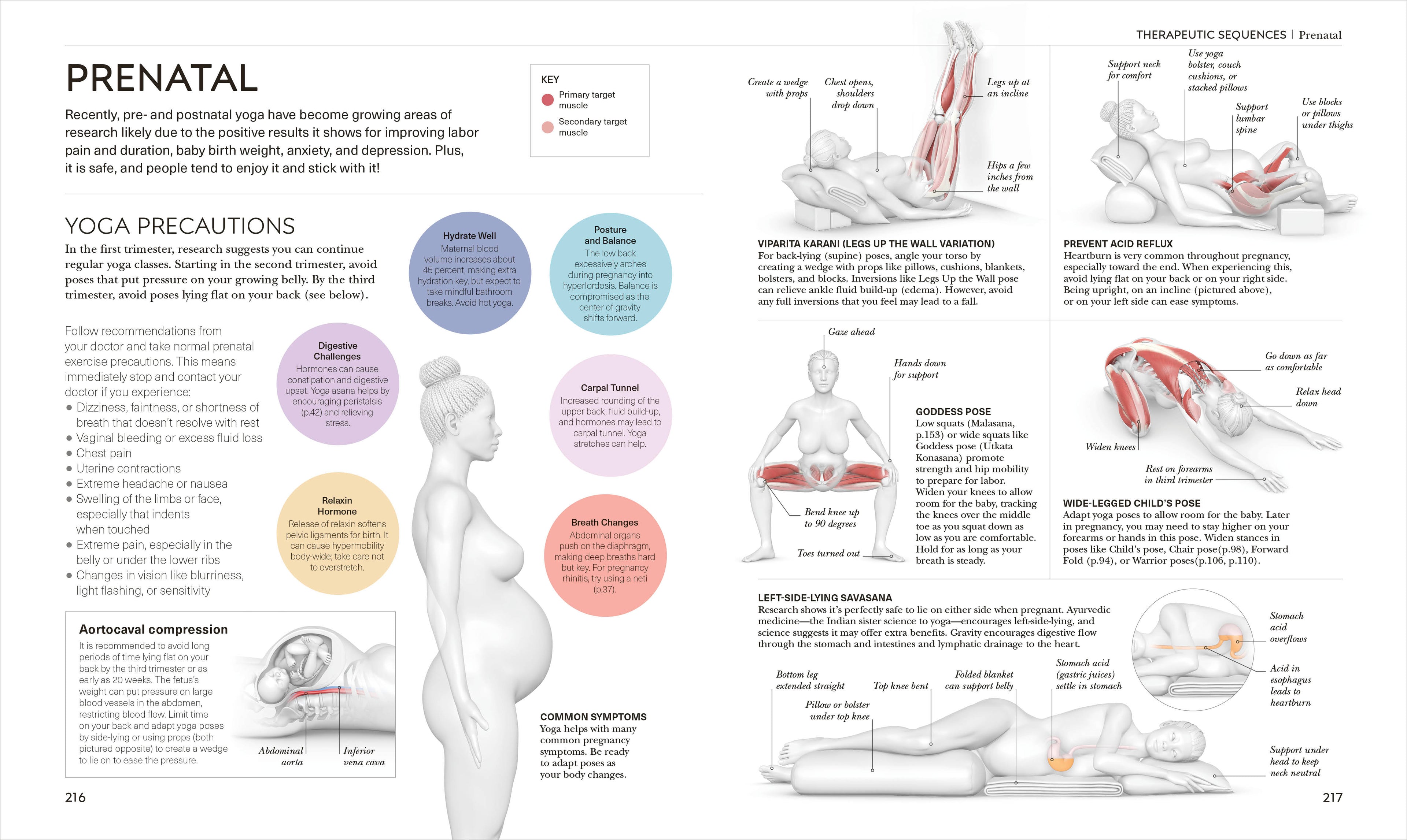 Science of Yoga-Spread, Image, (PRHC, Design, Do, Not, Use)-6