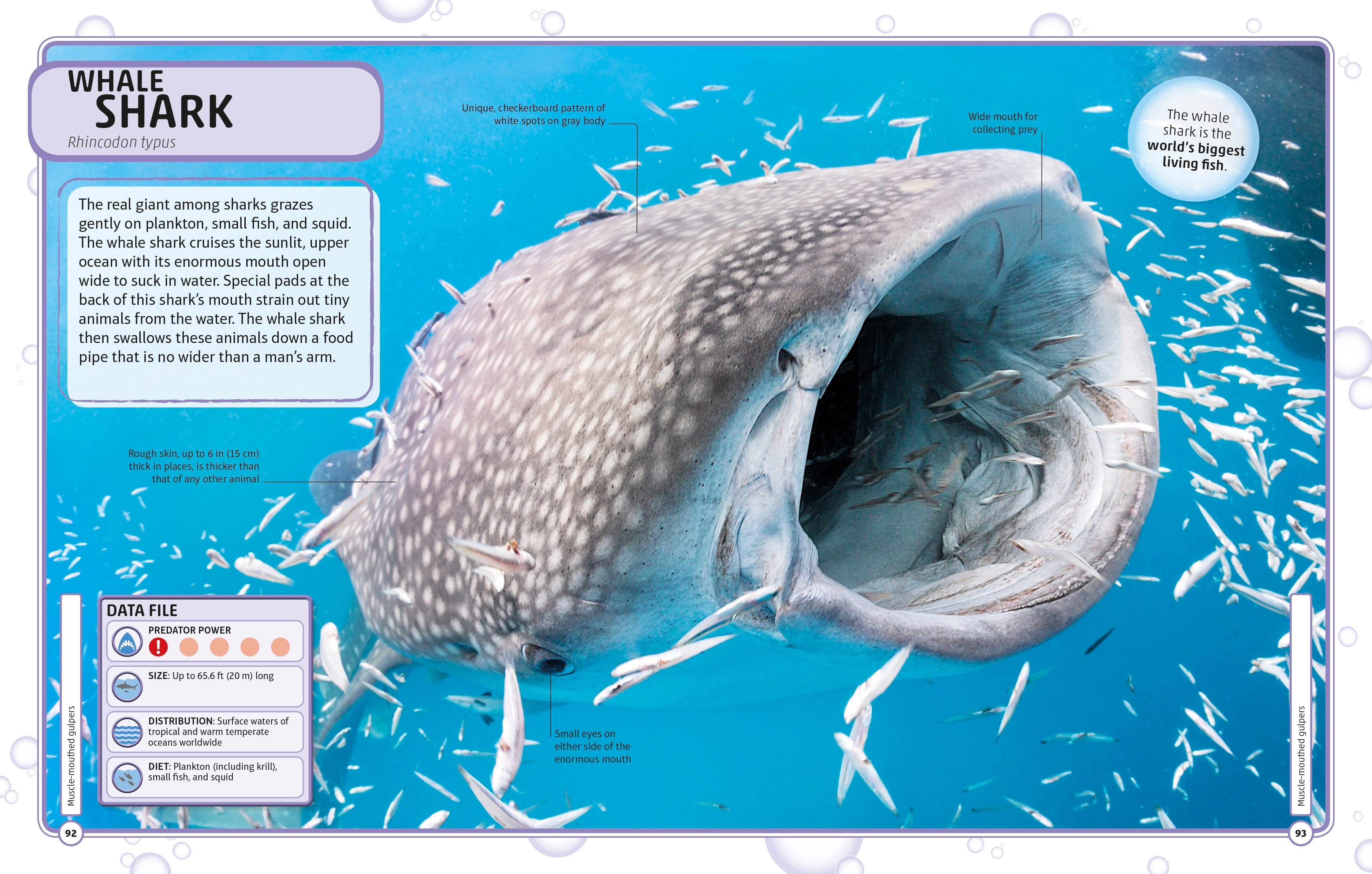 Sharks and Other Deadly Ocean Creatures Visual Encyclopedia – DK