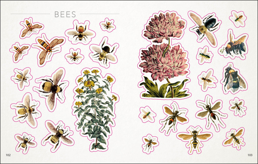 The Bees, Birds & Butterflies Sticker Anthology