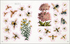 The Bees, Birds & Butterflies Sticker Anthology