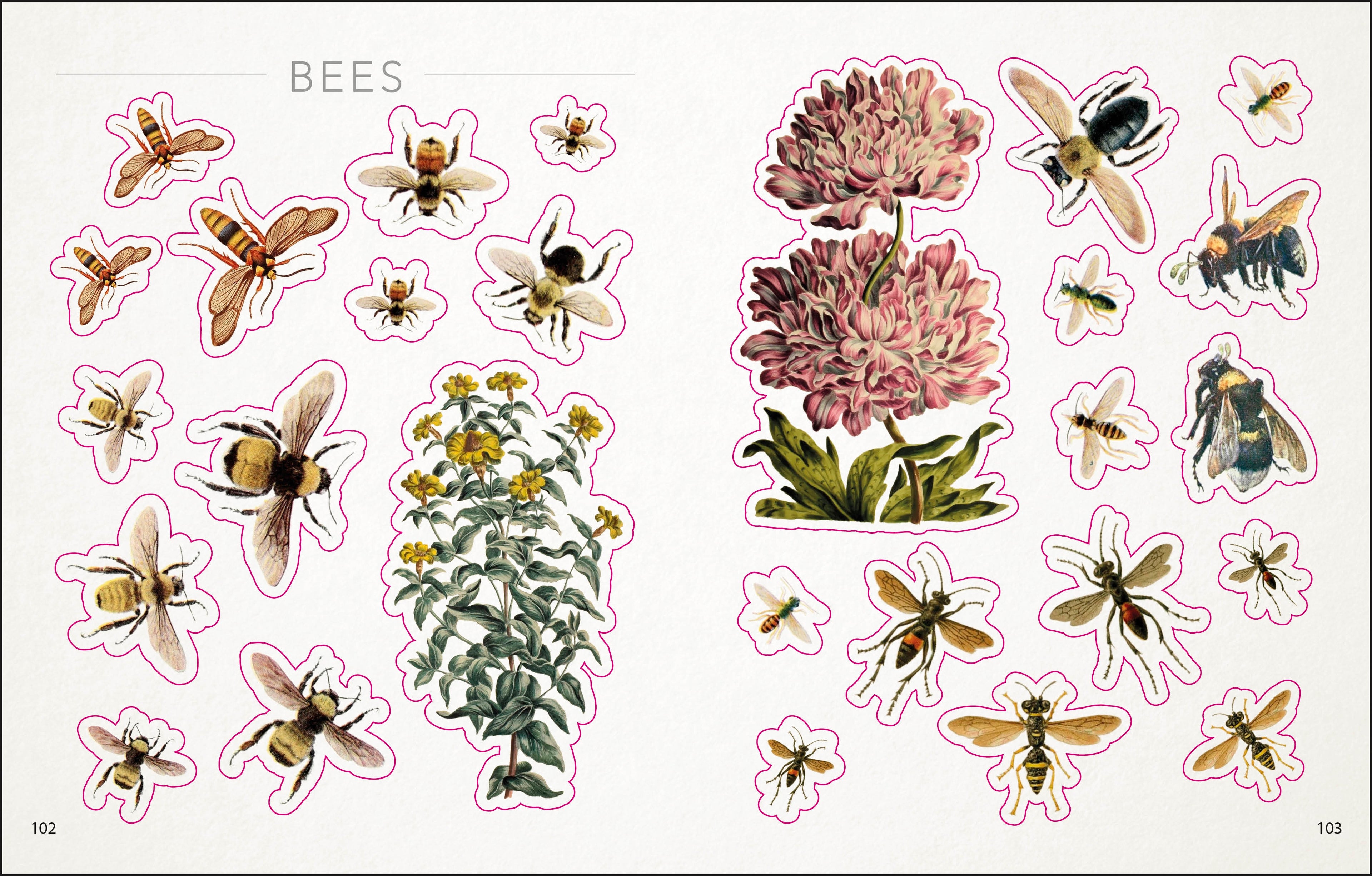 The Bees, Birds & Butterflies Sticker Anthology