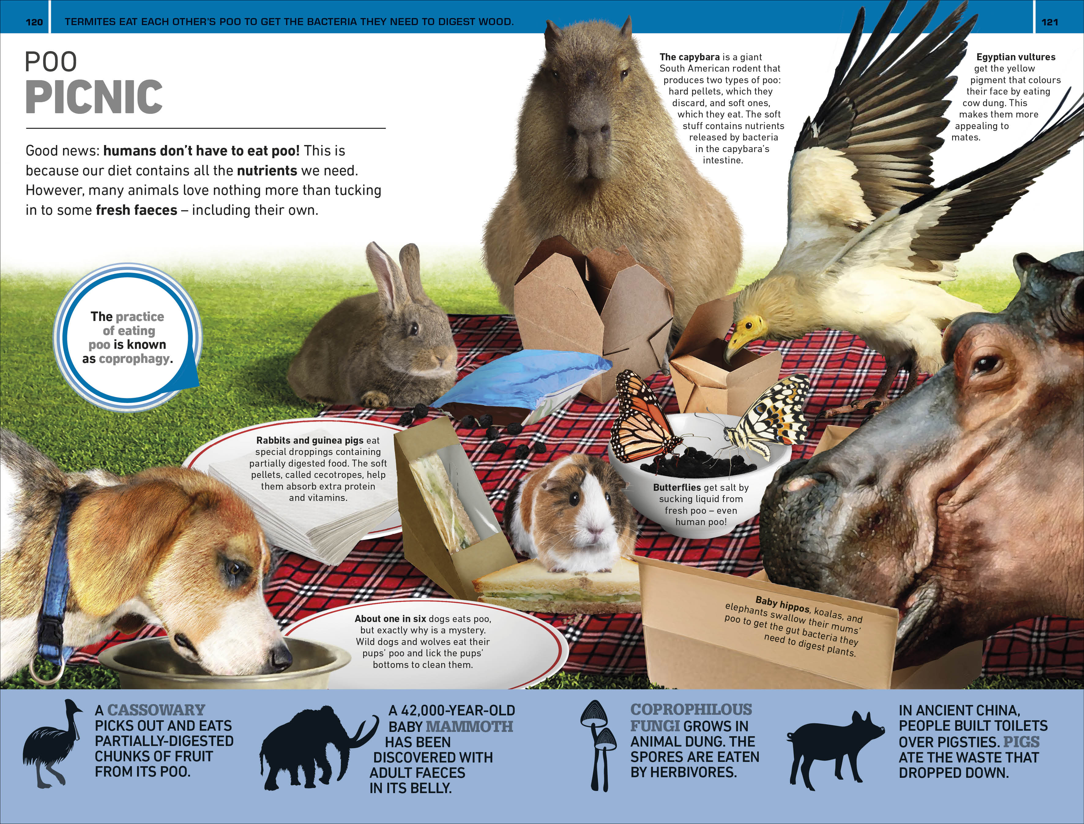 1,000 Amazing Gross Facts