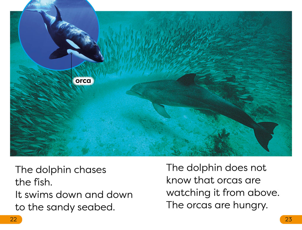 DK Super Readers Level 1 Diving Dolphin