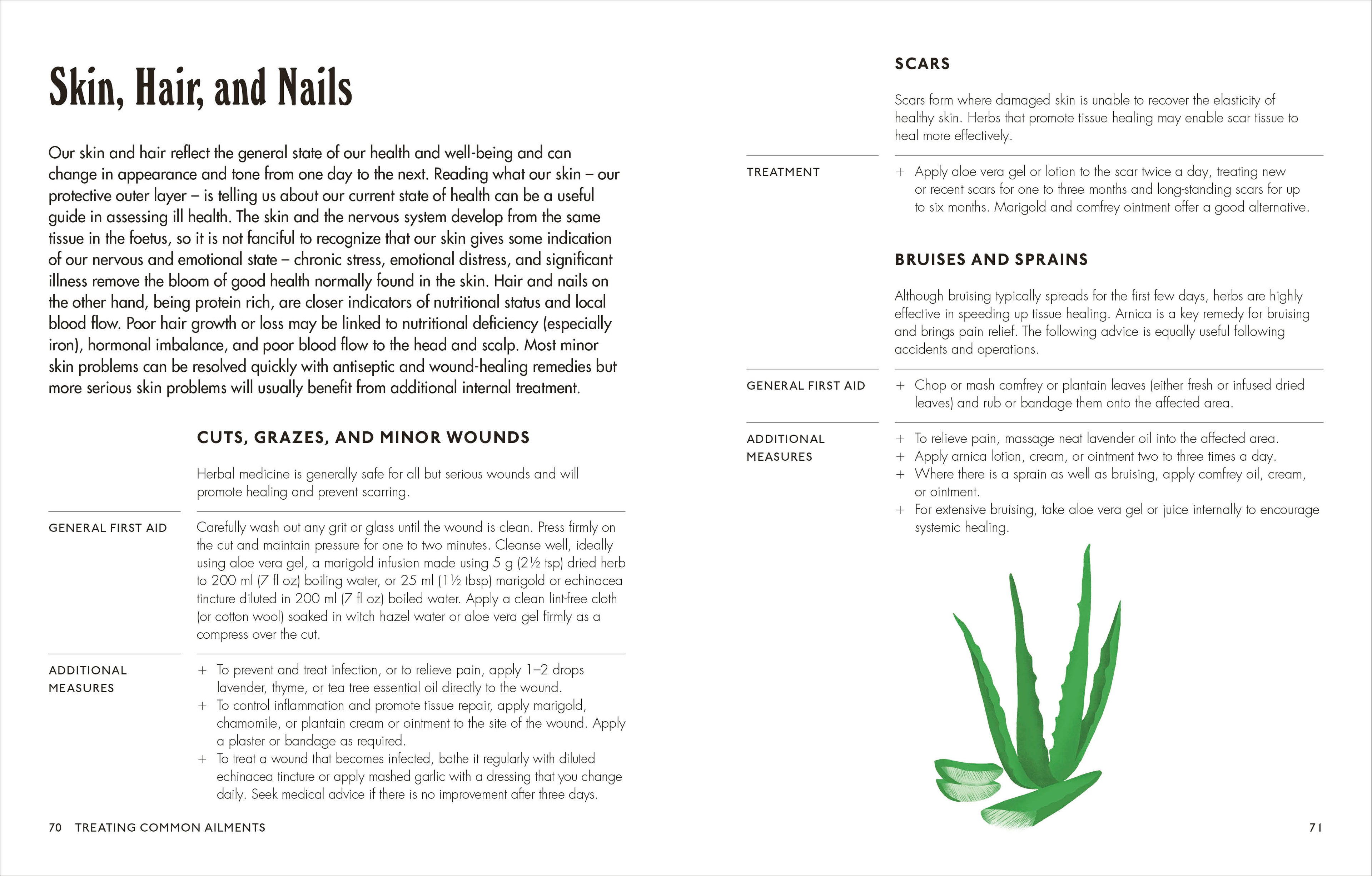 The Home Herbal-Spread, Image, (PRHC, Design, Do, Not, Use)-4