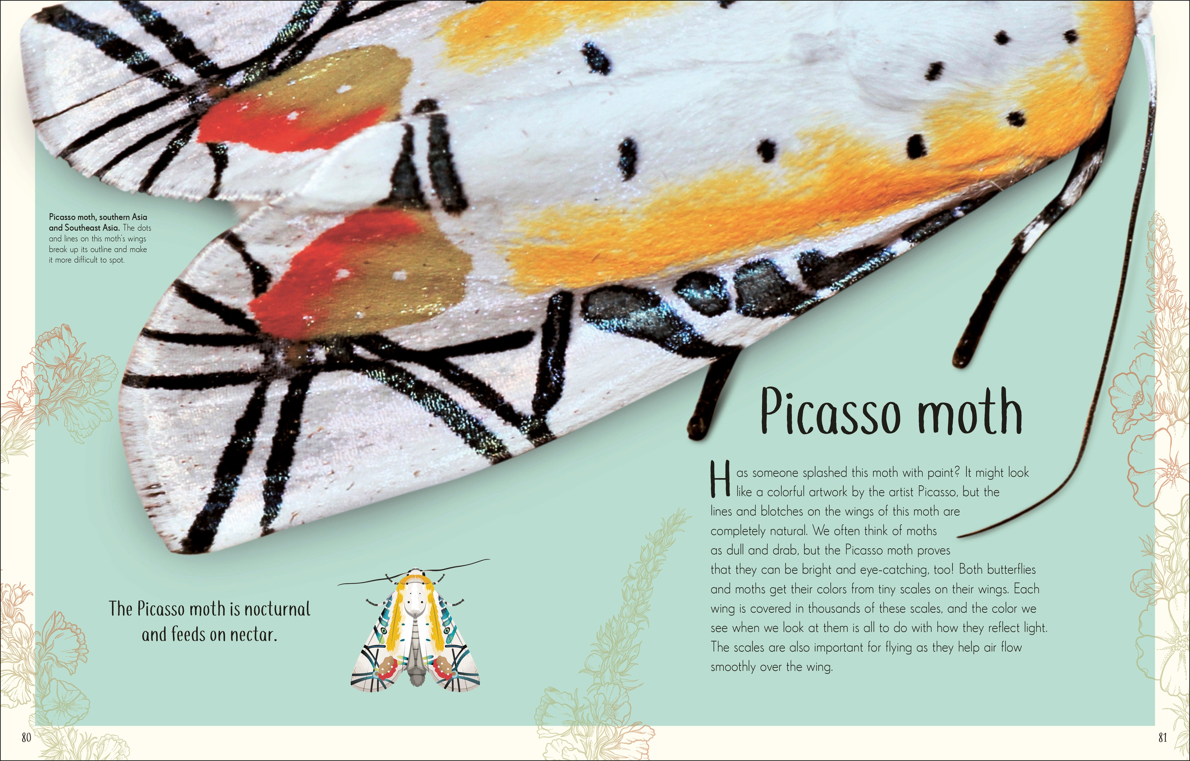 An Anthology of Remarkable Bugs-Spread, Image, (PRHC, Design, Do, Not, Use)-4