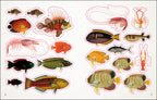 The Seashore Sticker Anthology-spread image