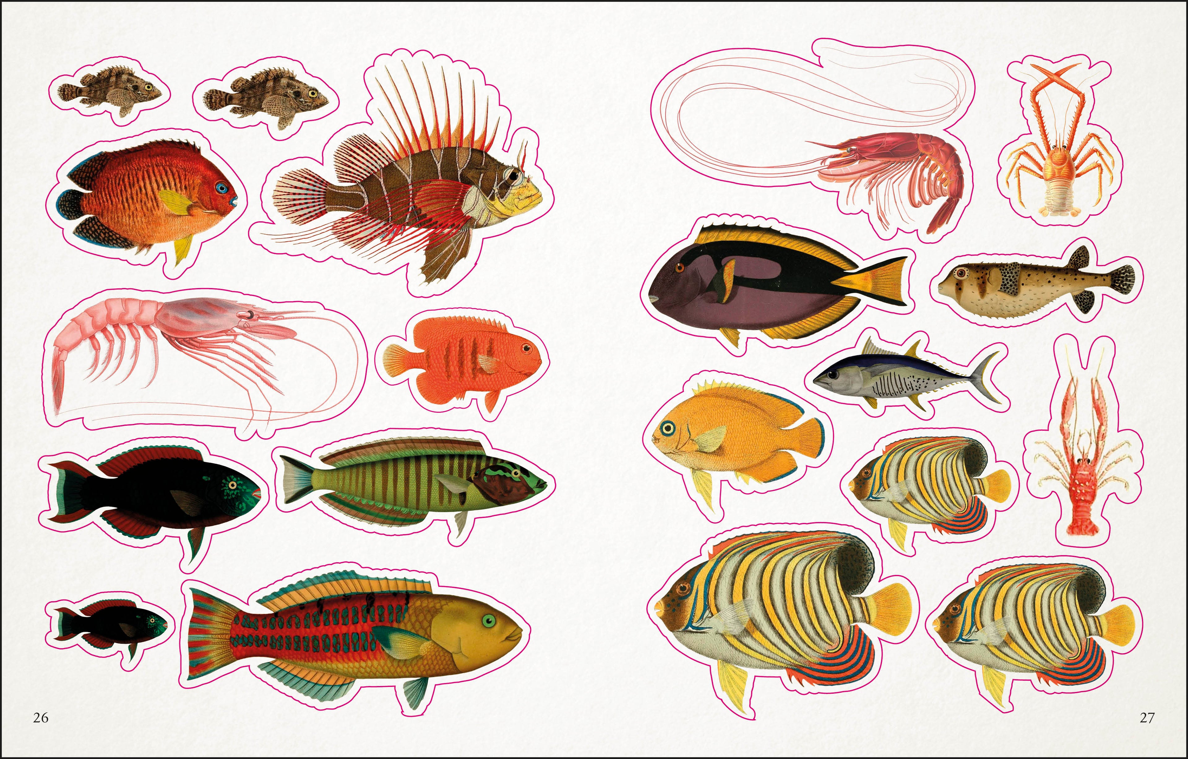 The Seashore Sticker Anthology-spread image