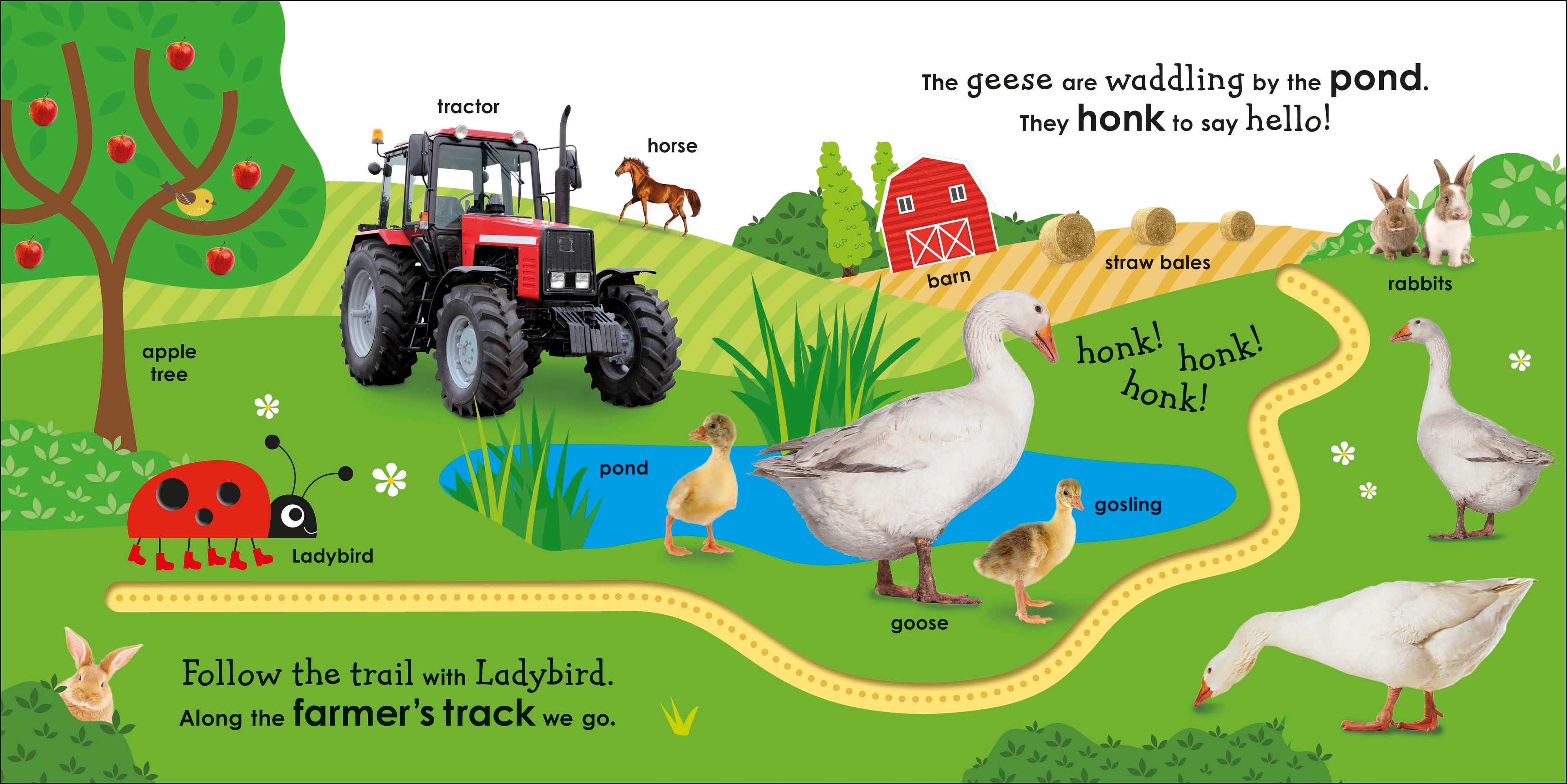 On the Farm with a Ladybird