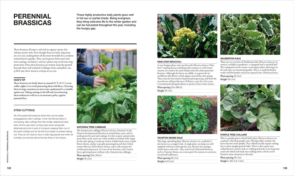 The Permaculture Garden-Spread, Image, (PRHC, Design, Do, Not, Use)-5