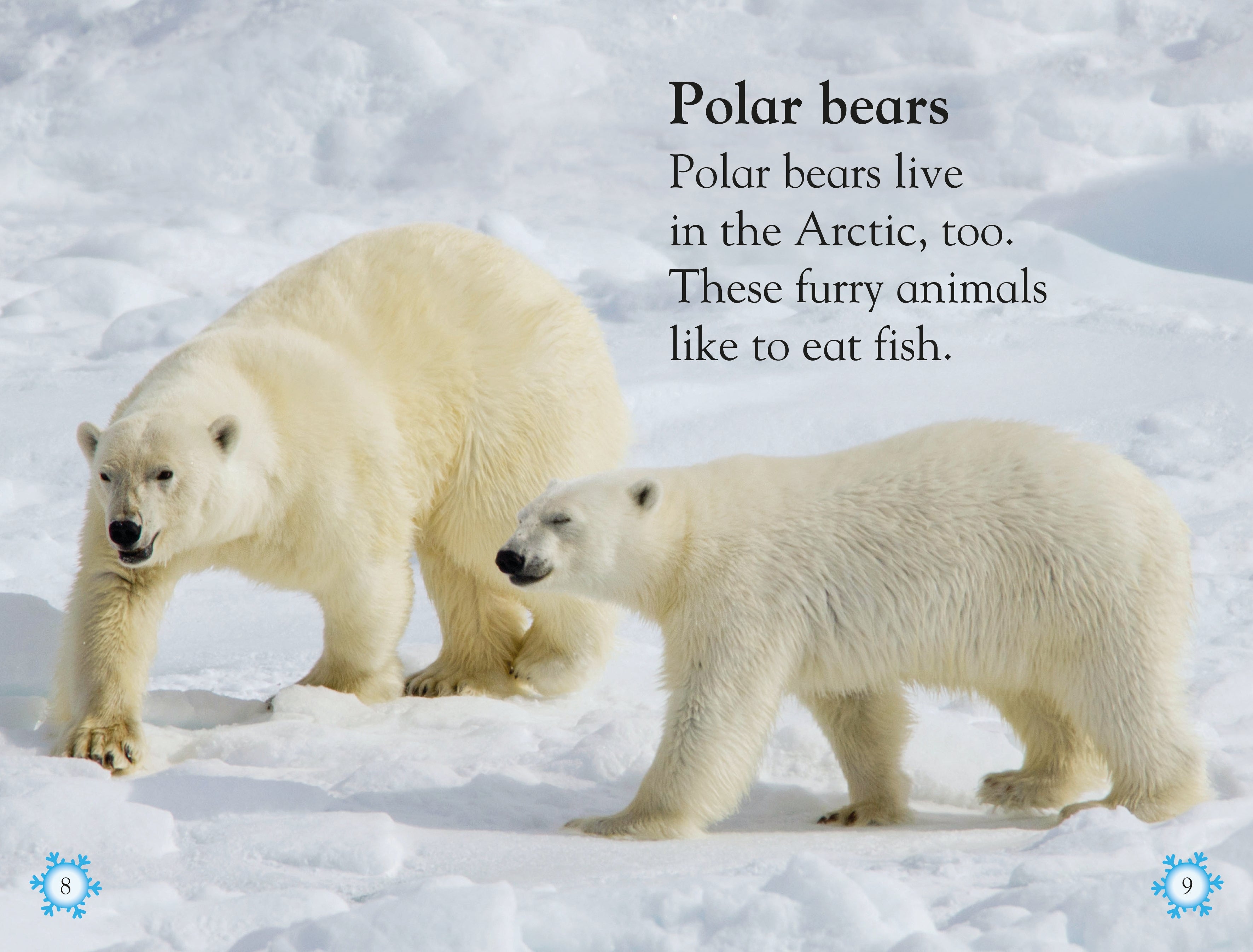 DK Readers L1 Frozen Worlds