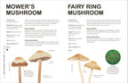 RHS Fungi for Gardeners-Spread, Image, (PRHC, Design, Do, Not, Use)-5