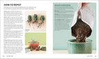 Succulents-Spread, Image, (PRHC, Design, Do, Not, Use)-2