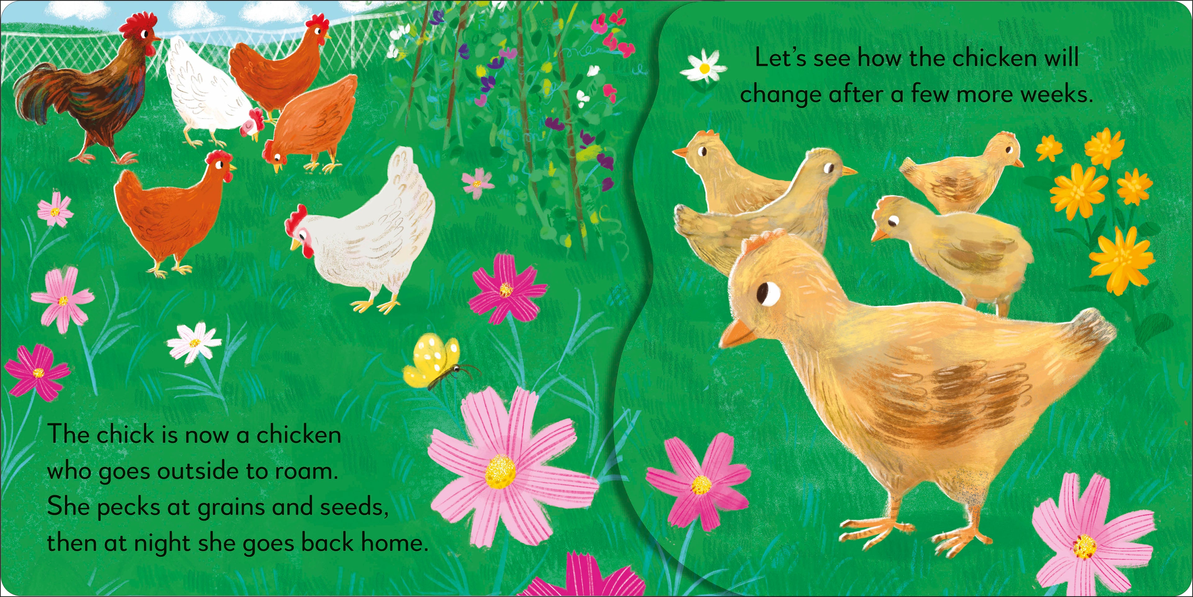 Pop-up Peekaboo! Chick