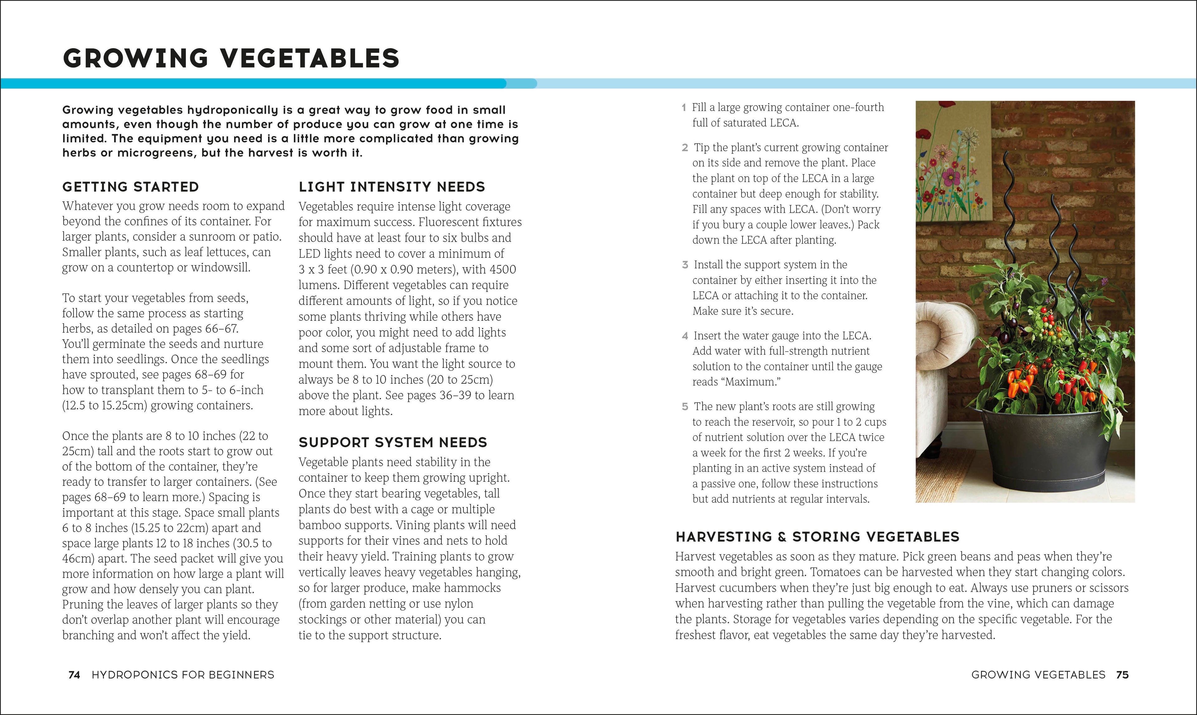 Hydroponics for Beginners-Spread, Image, (PRHC, Design, Do, Not, Use)-5