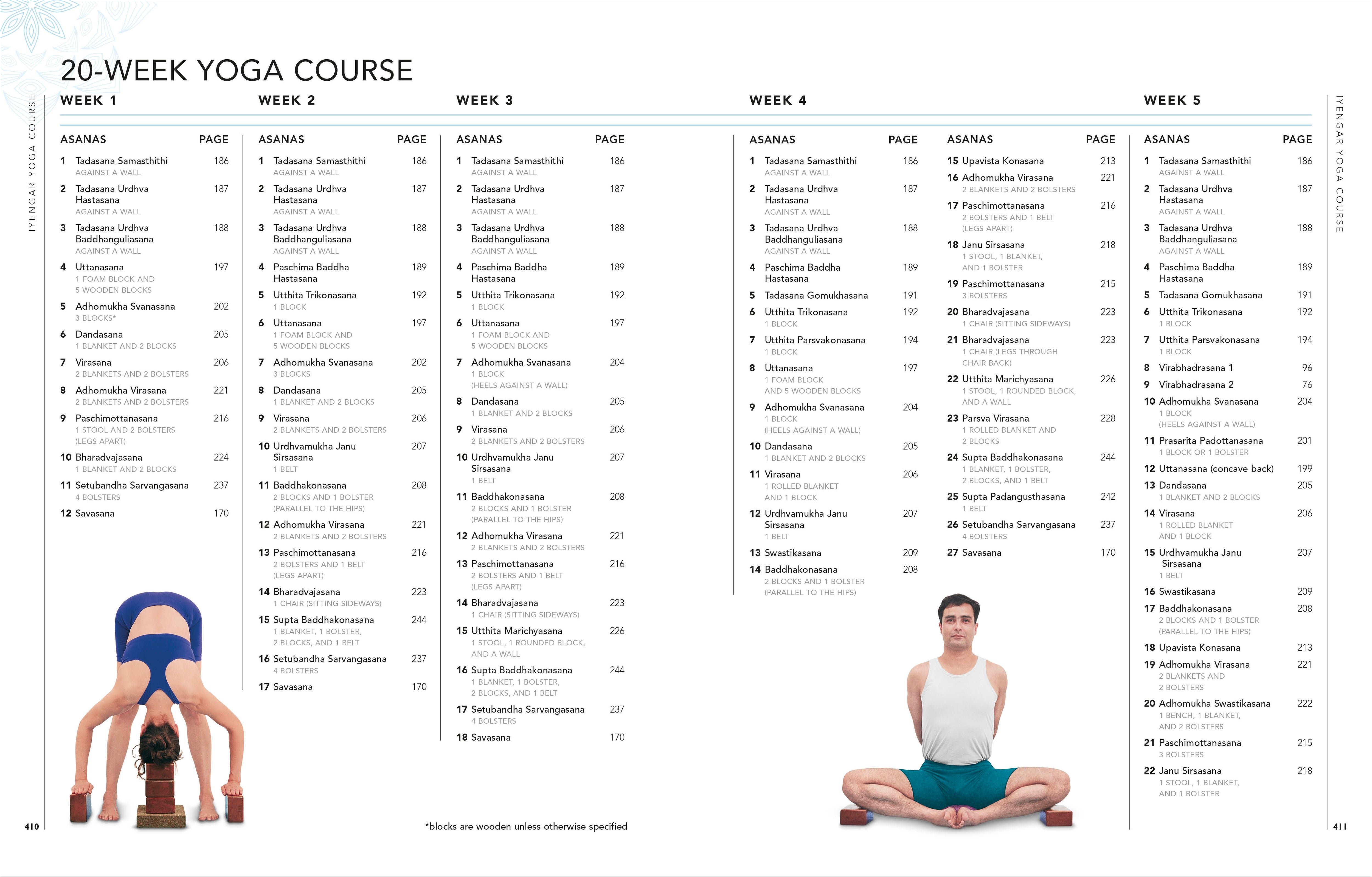 B.K.S. Iyengar Yoga The Path to Holistic Health – DK