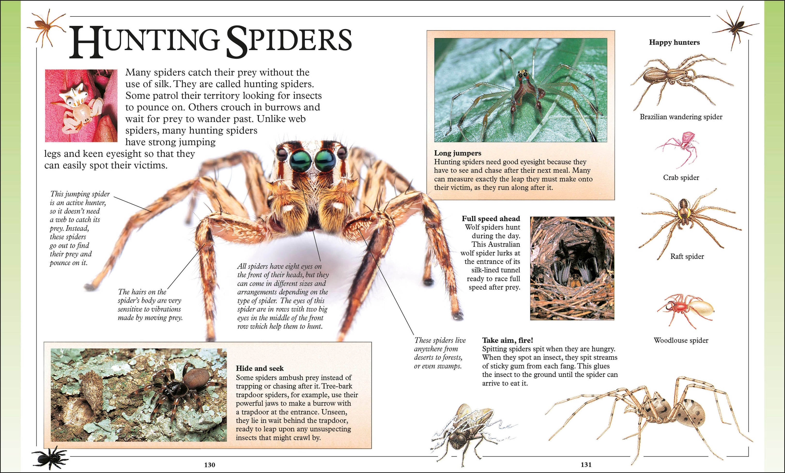 Big Book of Knowledge