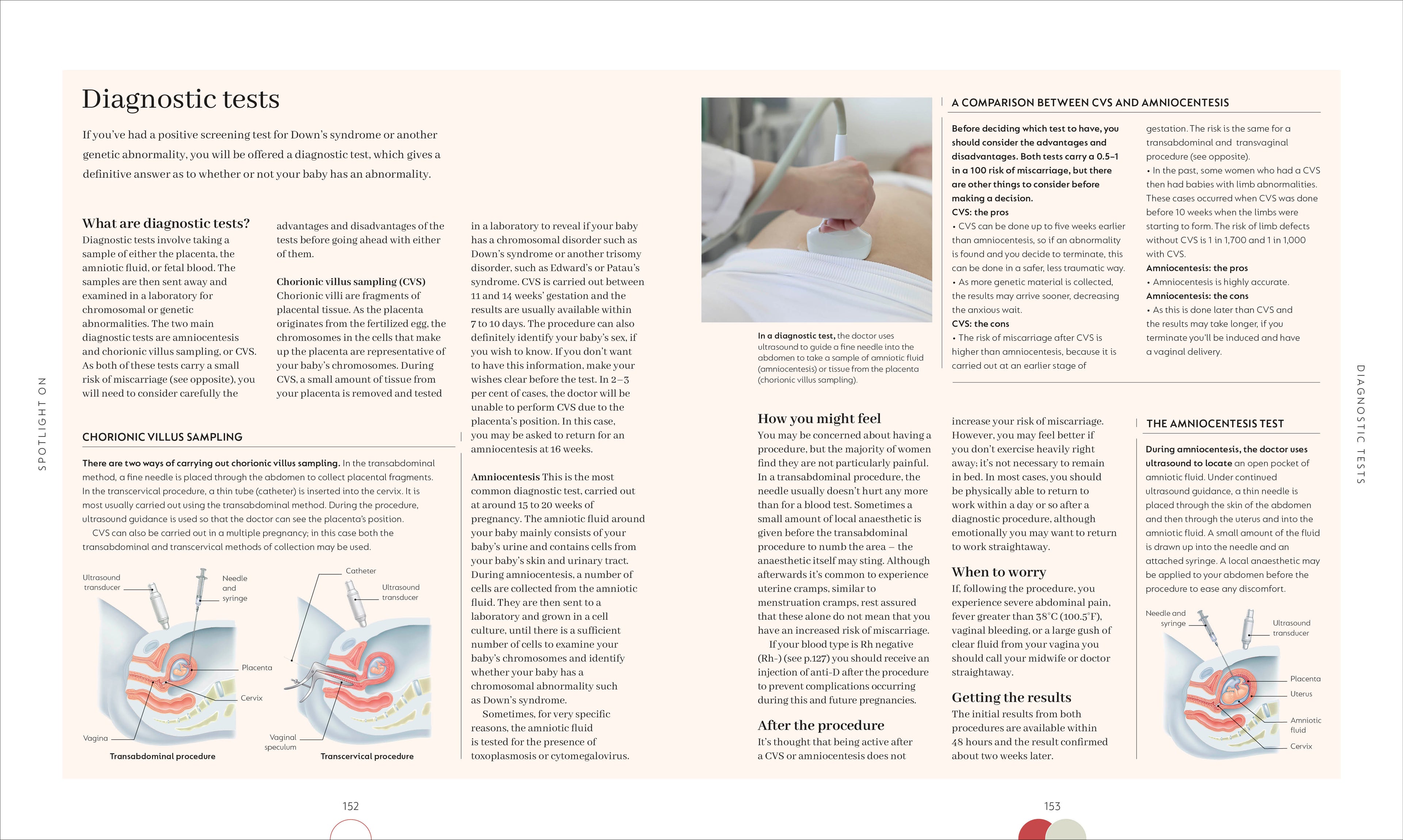 The Day-by-Day Pregnancy Book-spread image