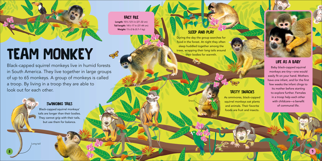 Animal Teams-Spread, Image, (PRHC, Design, Do, Not, Use)-1