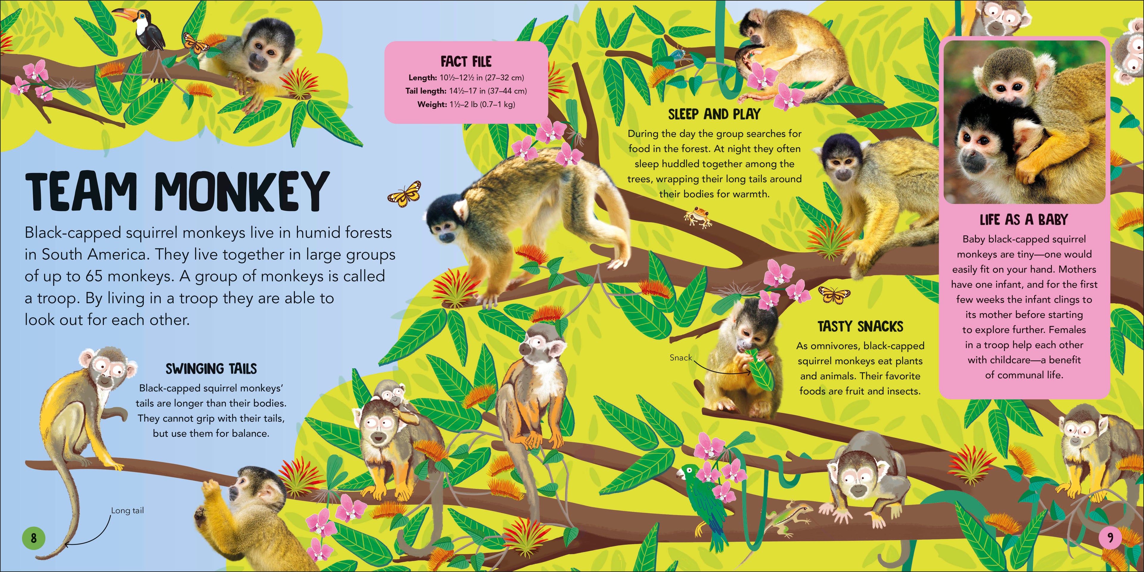 Animal Teams-Spread, Image, (PRHC, Design, Do, Not, Use)-1