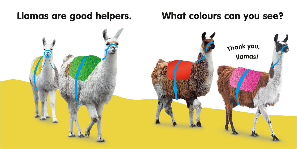 Baby Touch and Feel Llama