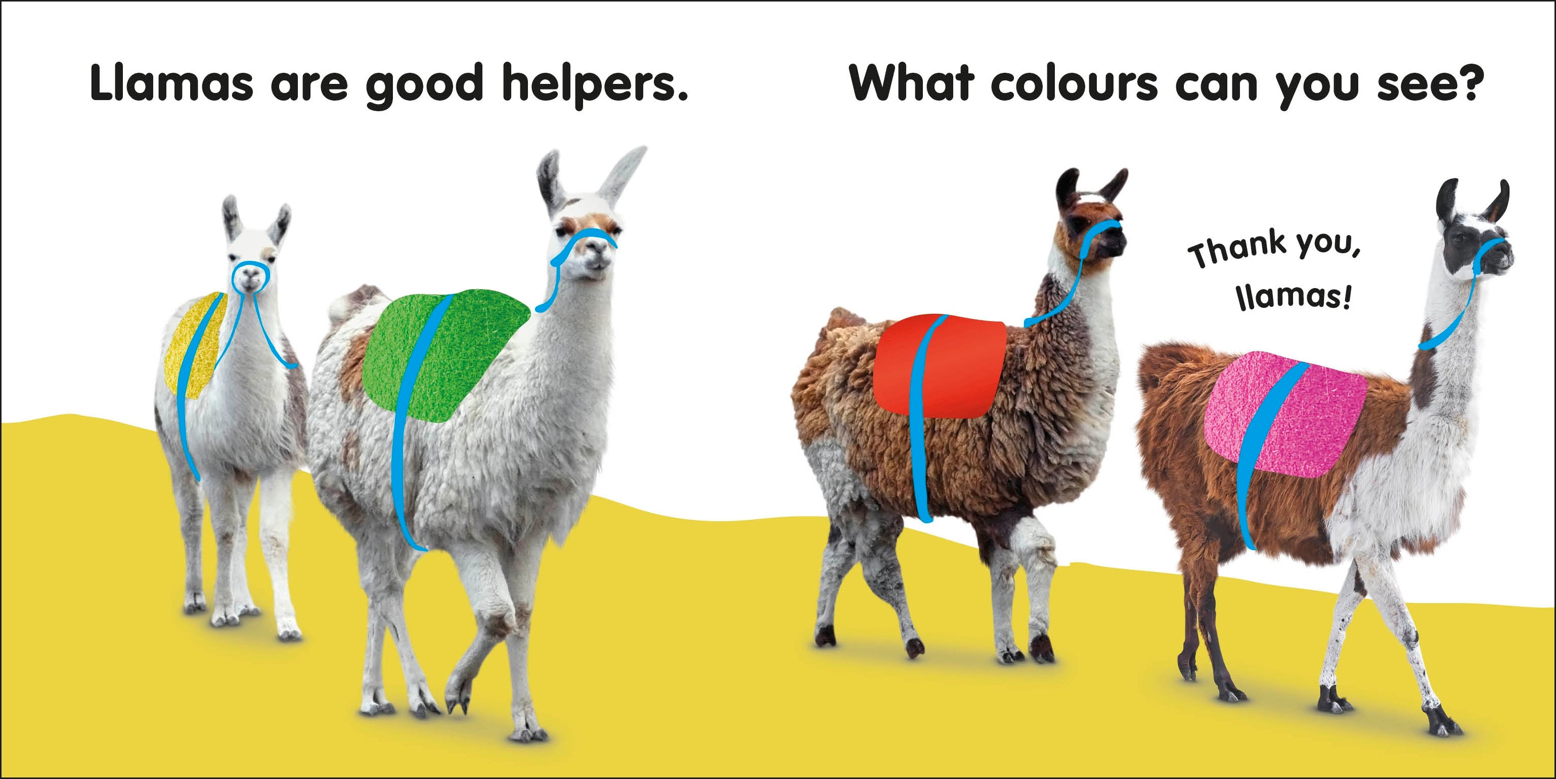 Baby Touch and Feel Llama