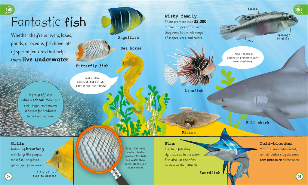 My Encyclopedia of Very Important Animals