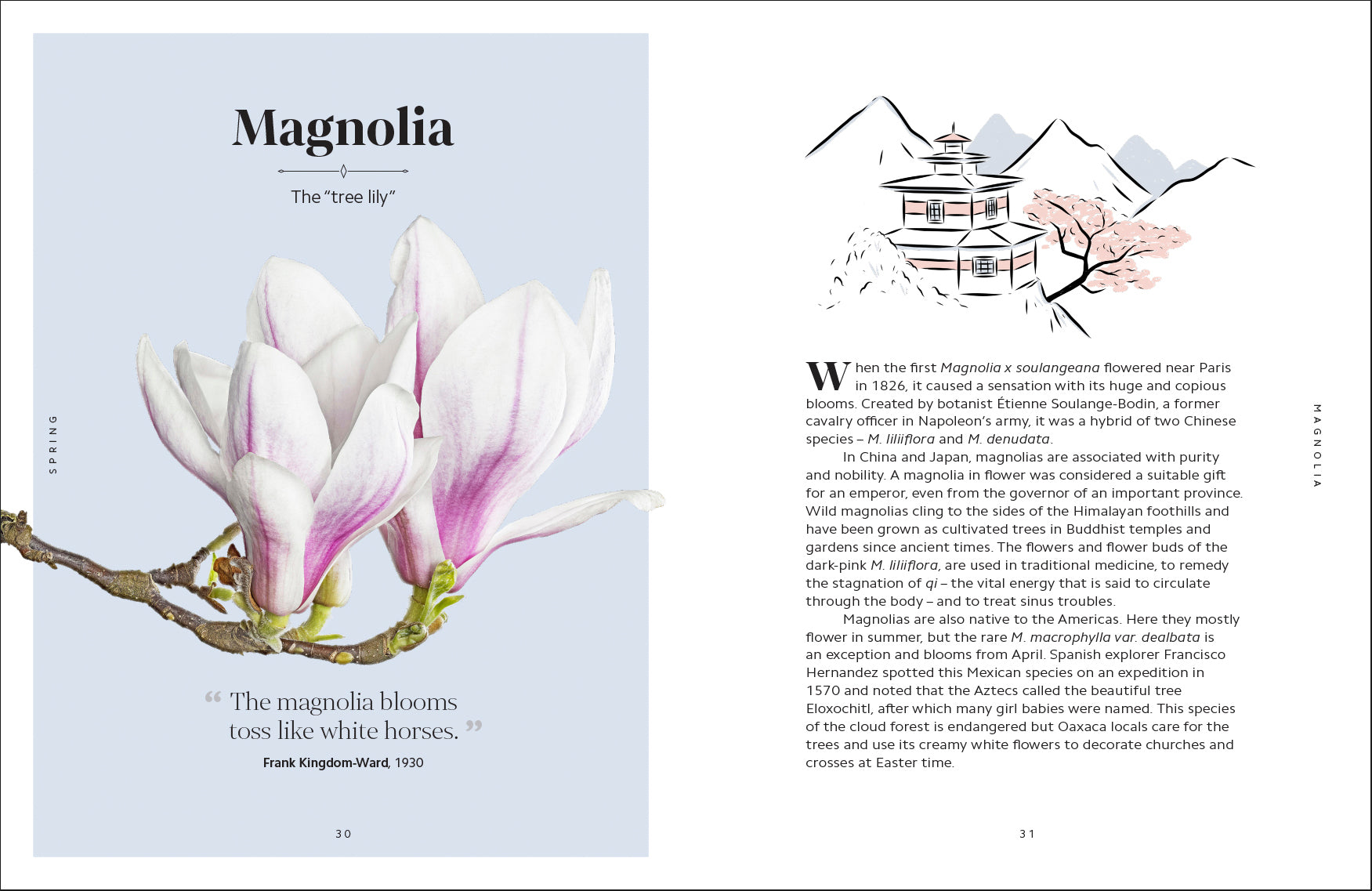 The Secret Language of Flowers