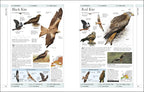 RSPB Complete Birds of Britain and Europe