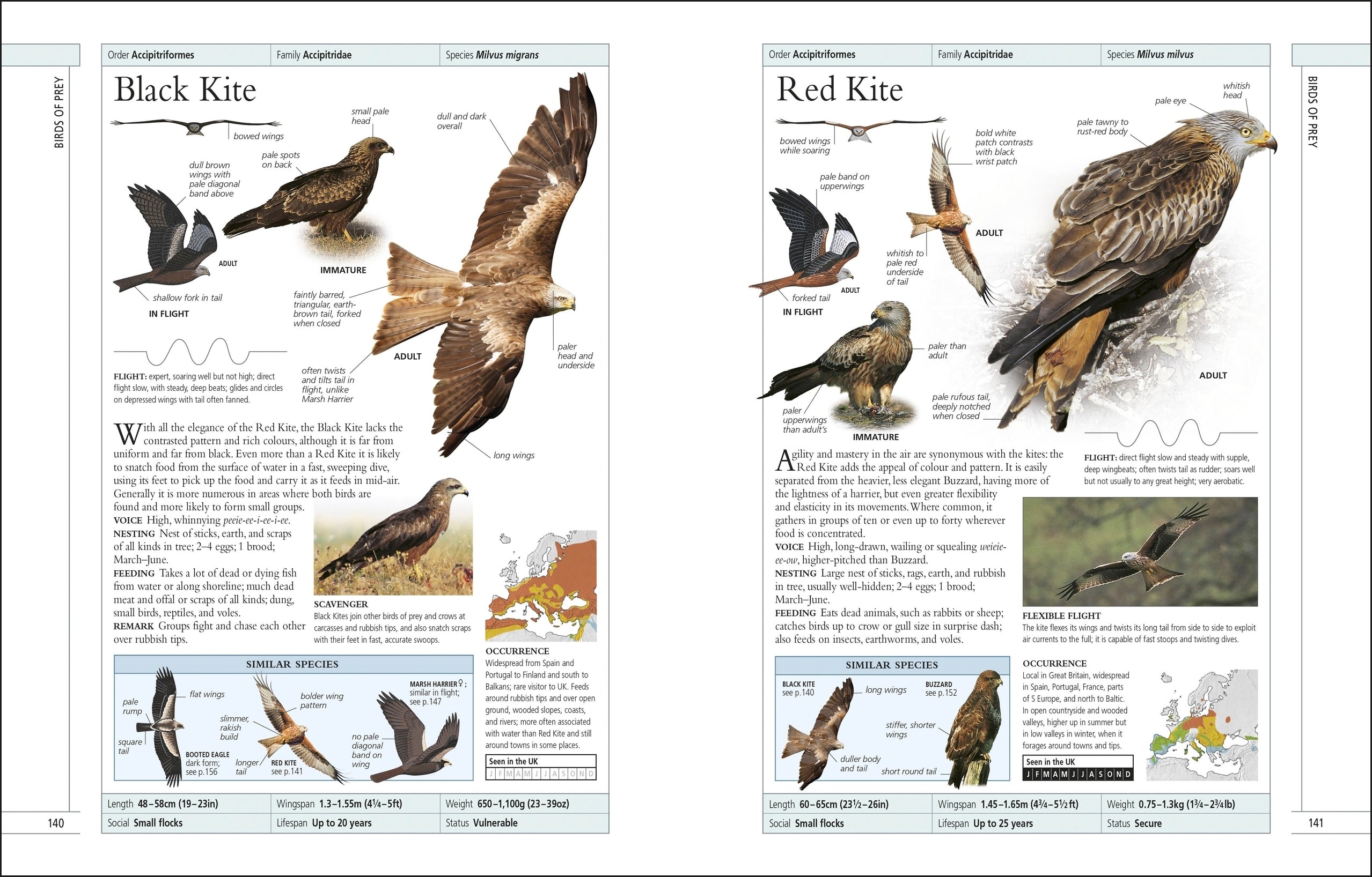RSPB Complete Birds of Britain and Europe