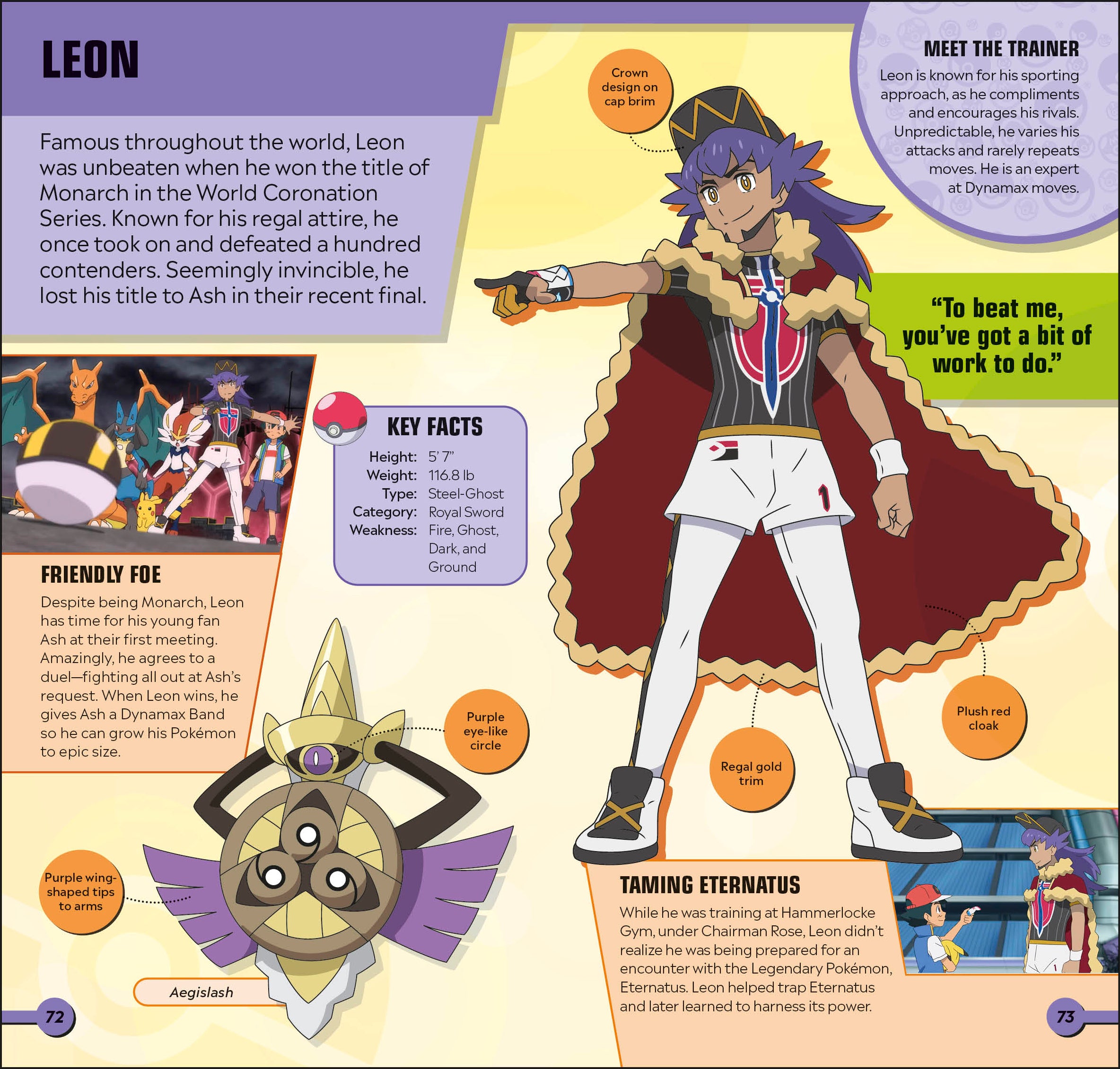 Pokémon Pocket Expert